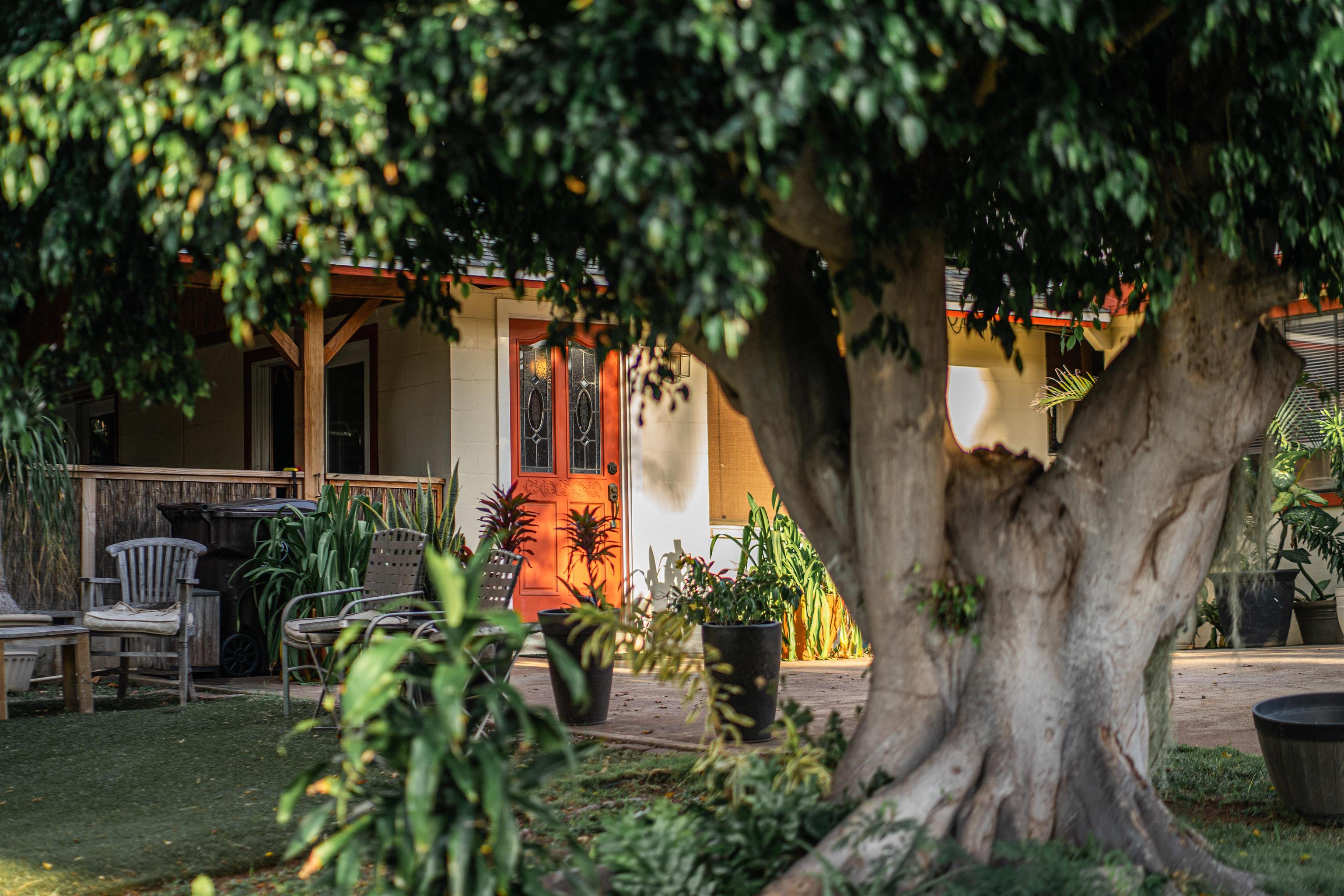 2833  Ohina St , Kihei home - photo 3 of 32