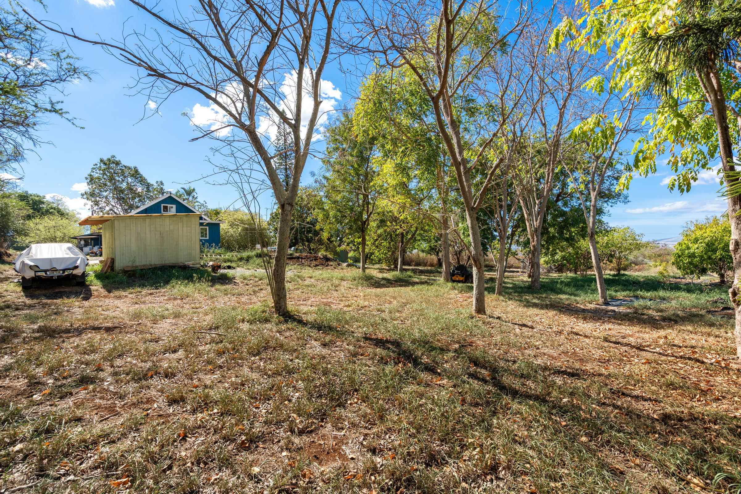 2846  Omaopio Rd , Kula/Ulupalakua/Kanaio home - photo 47 of 50