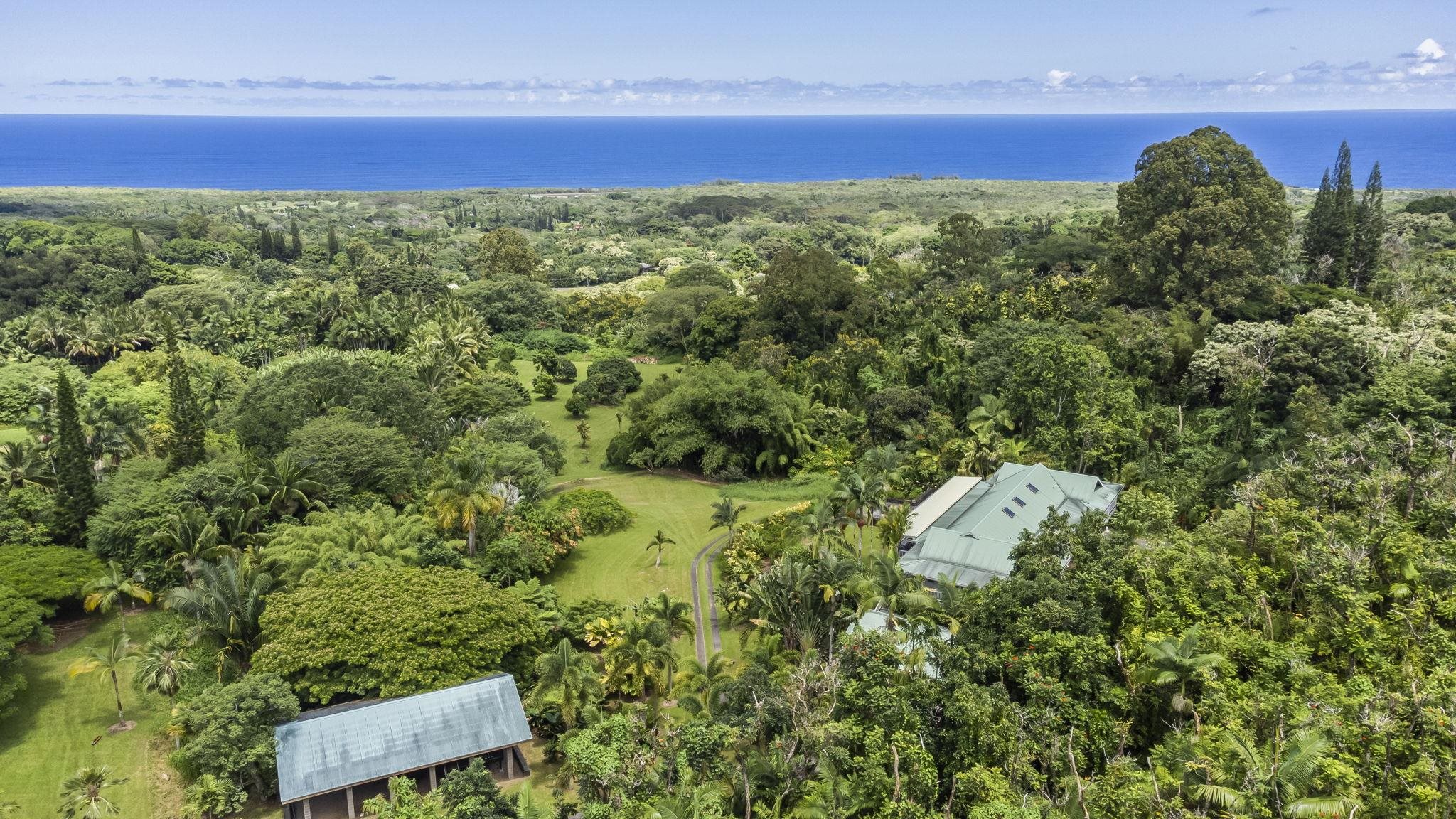 285  Kalo Rd , Hana home - photo 2 of 42