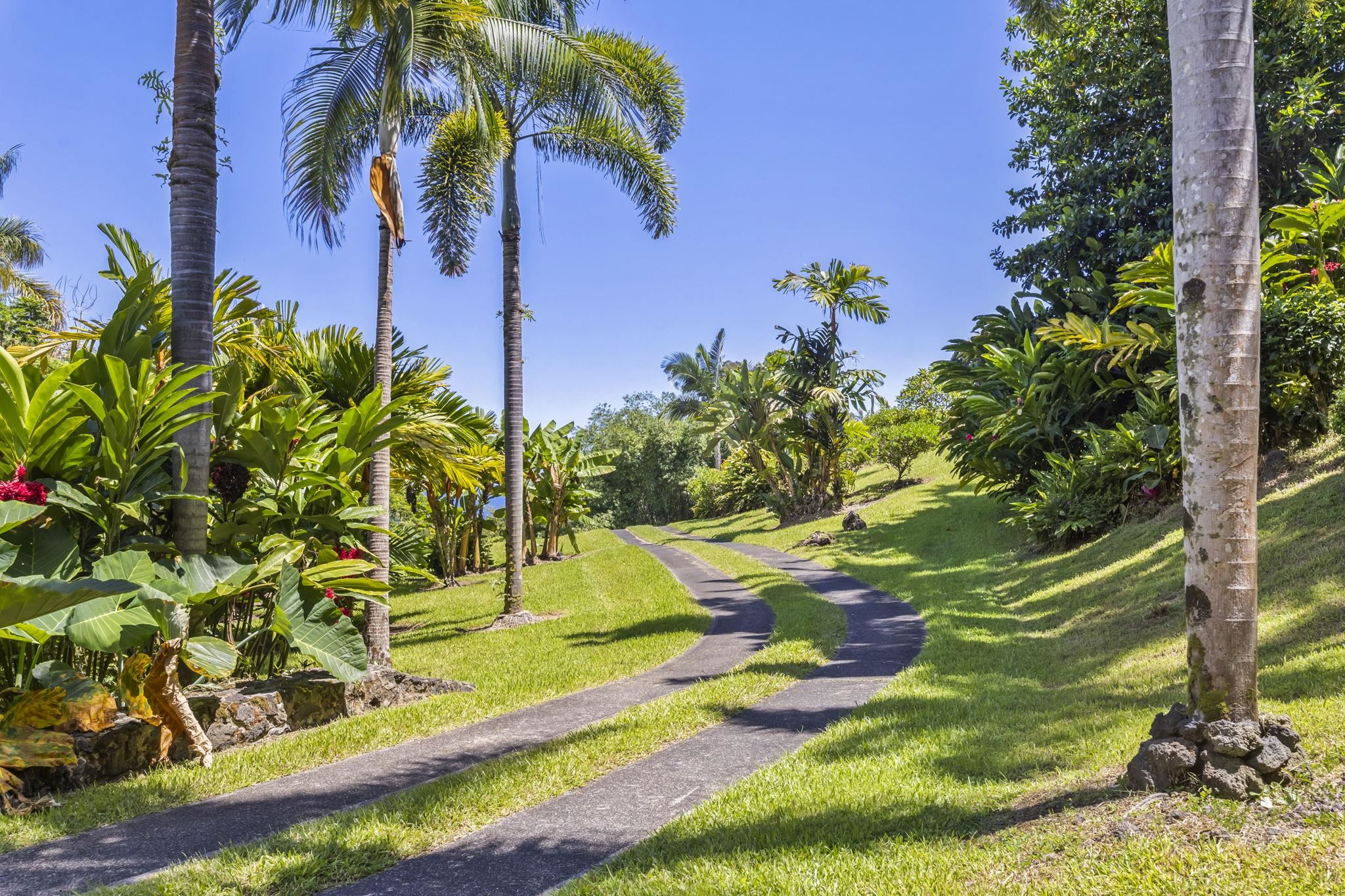 285  Kalo Rd , Hana home - photo 38 of 42