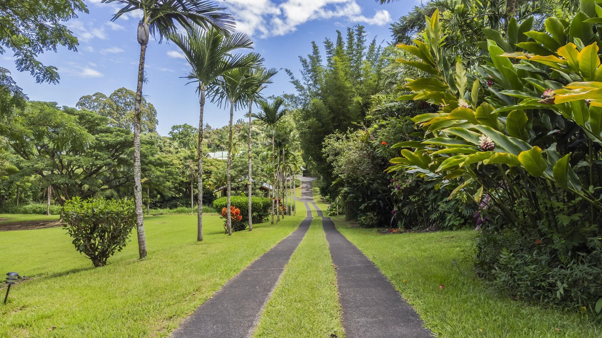 285  Kalo Rd , Hana home - photo 5 of 42