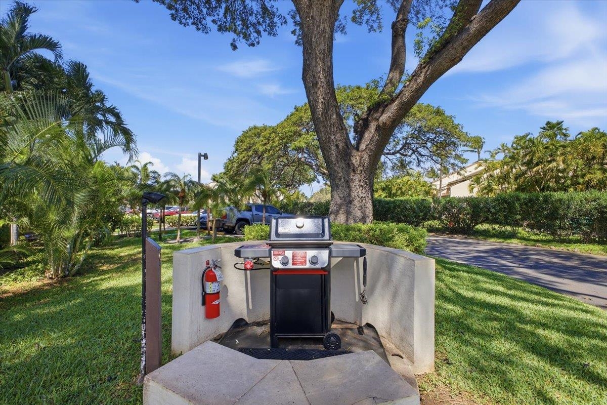 Maui Hill condo # 107, Kihei, Hawaii - photo 46 of 47