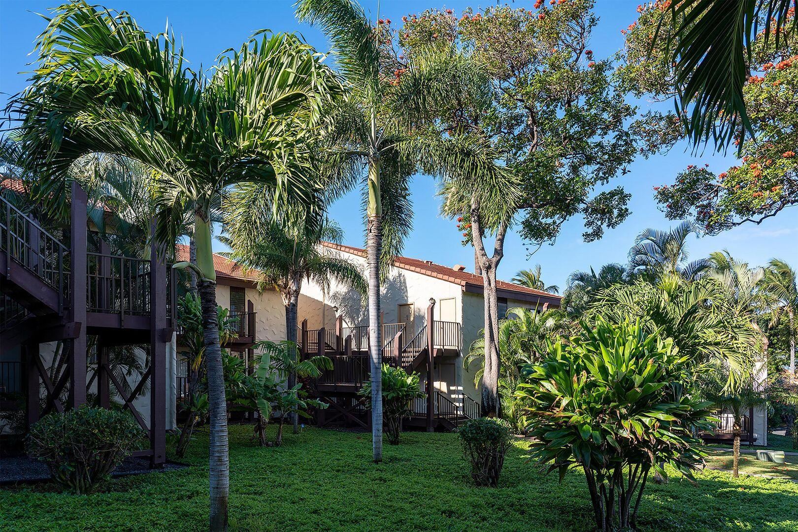 Maui Hill condo # 116, Kihei, Hawaii - photo 16 of 27