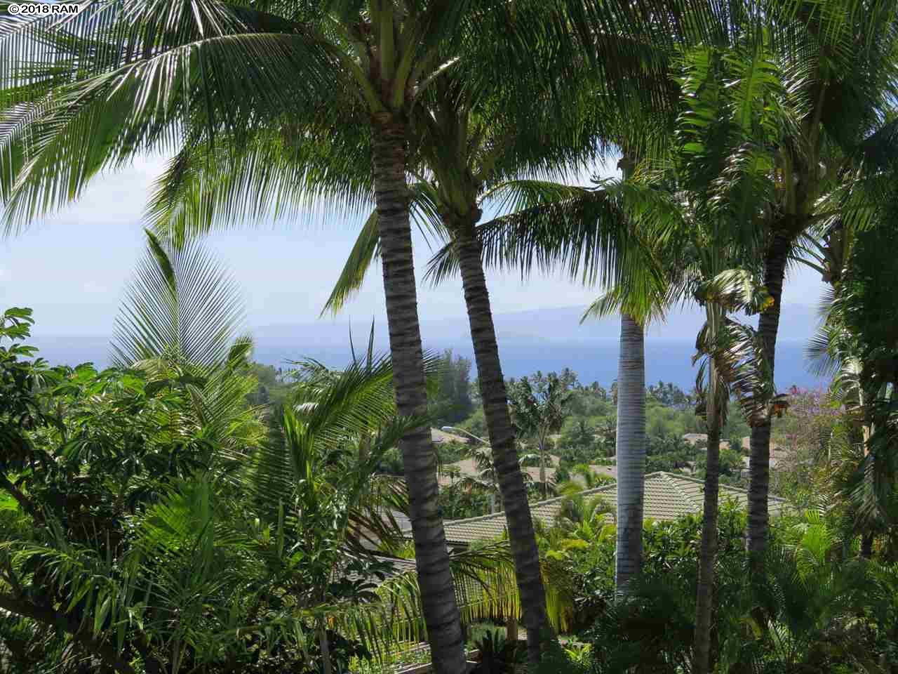Maui Hill condo # 120, Kihei, Hawaii - photo 23 of 28