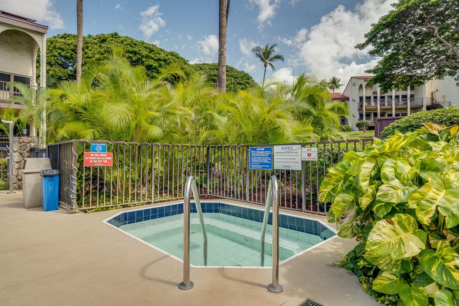 Maui Hill condo # 36, Kihei, Hawaii - photo 47 of 50