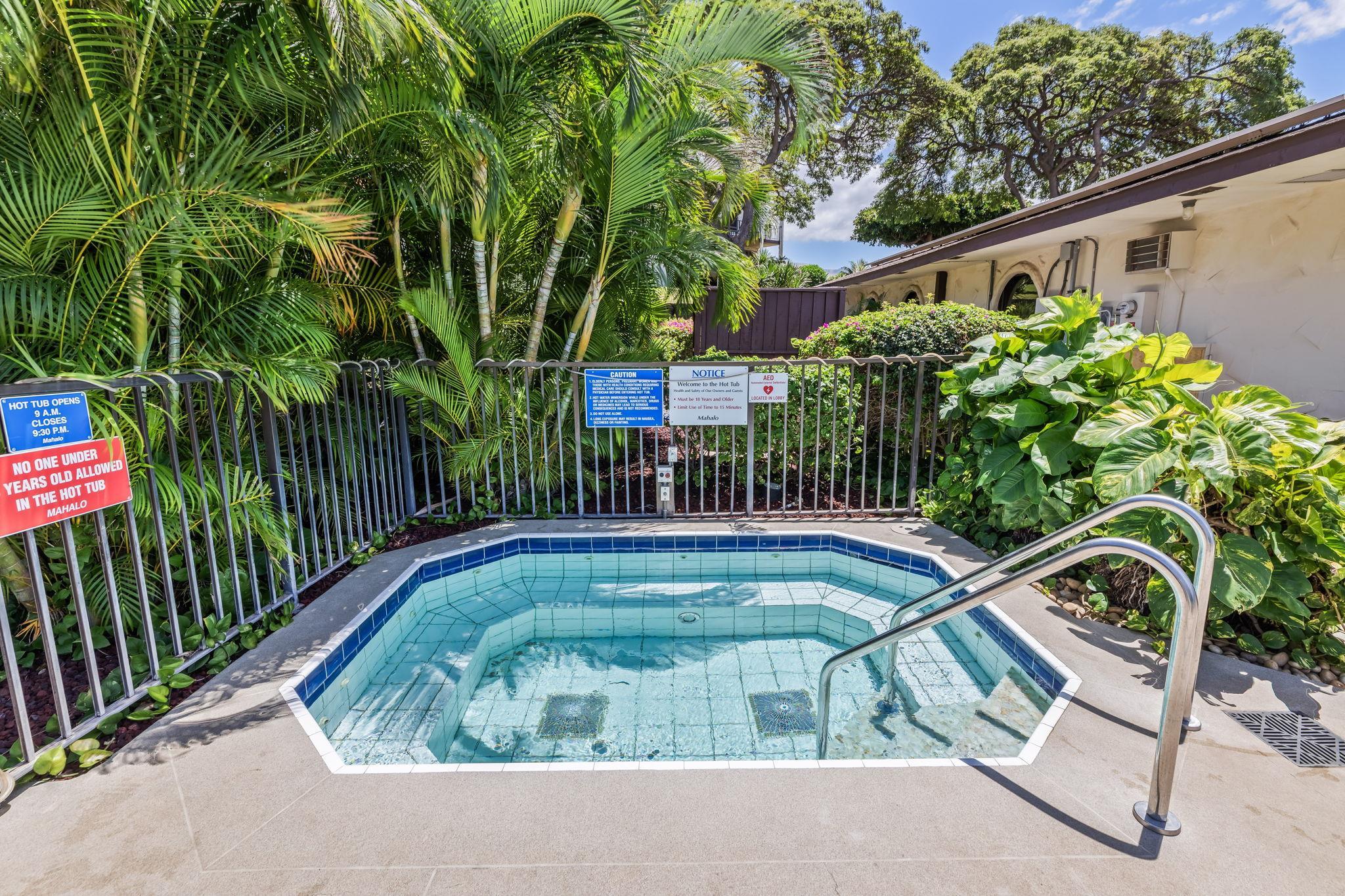 Maui Hill condo # 55, Kihei, Hawaii - photo 33 of 43