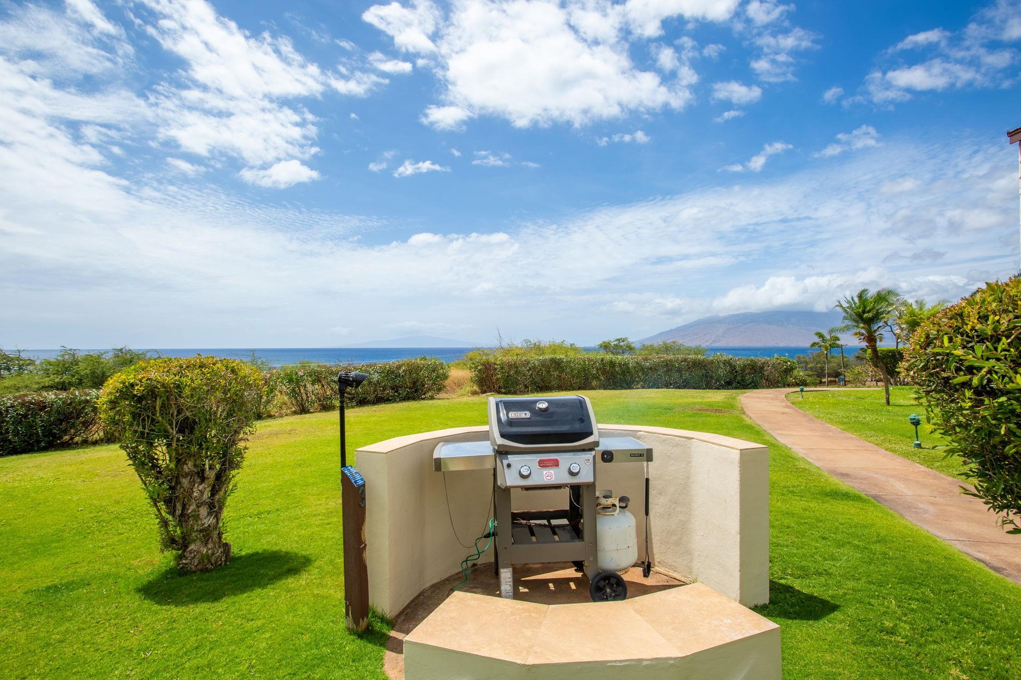 Maui Hill condo # 59, Kihei, Hawaii - photo 29 of 36