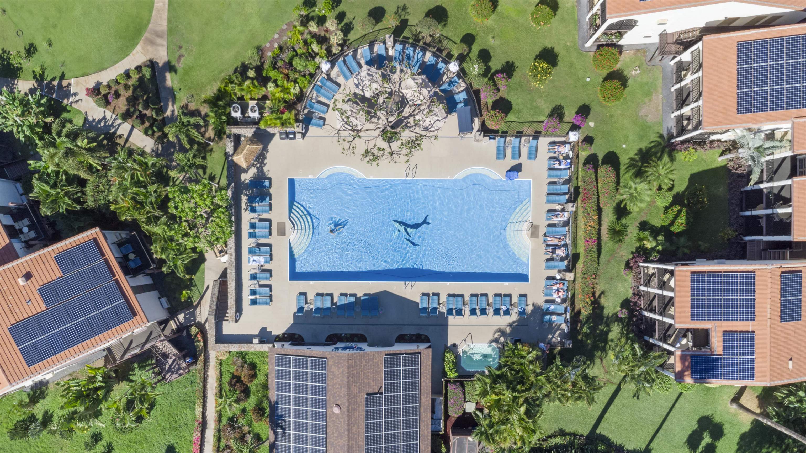 Maui Hill condo # 59, Kihei, Hawaii - photo 2 of 34