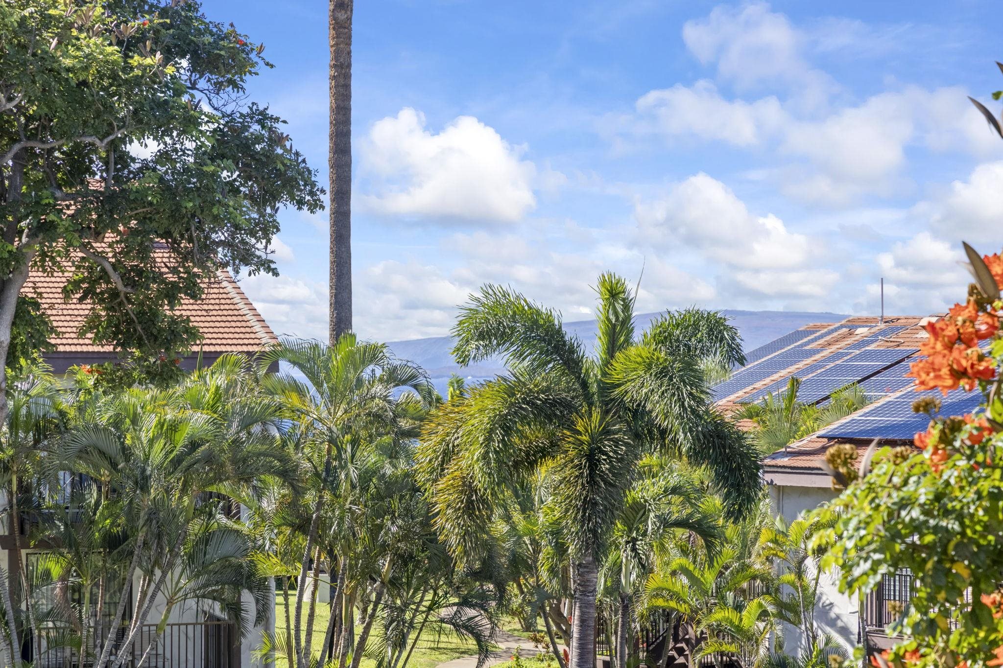 Maui Hill condo # 80, Kihei, Hawaii - photo 16 of 40