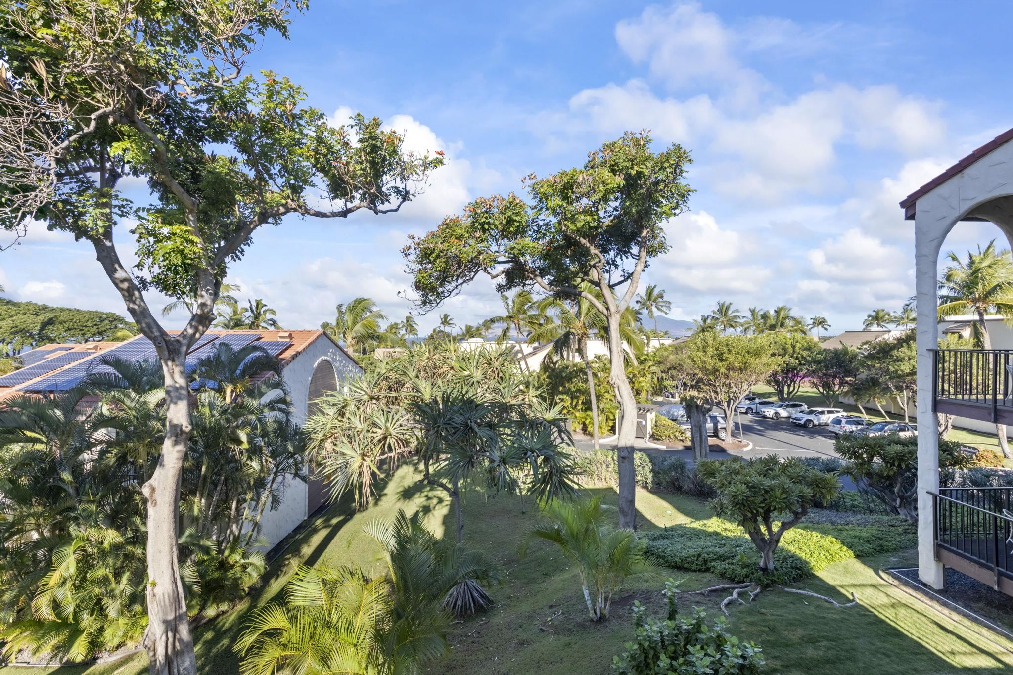 Maui Hill condo # 80, Kihei, Hawaii - photo 18 of 40