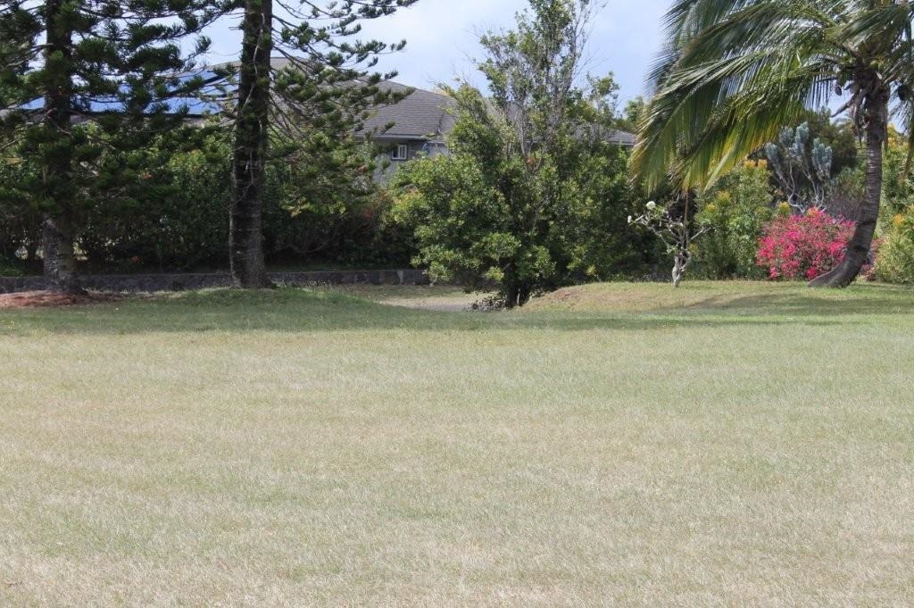 29  Mikiola St Makawao Highlands, Makawao/Olinda/Haliimaile home - photo 6 of 24