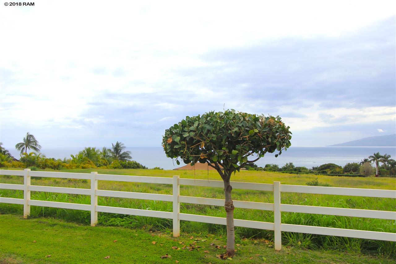 29  Wili Okai Way Puunoa, Lahaina home - photo 14 of 19