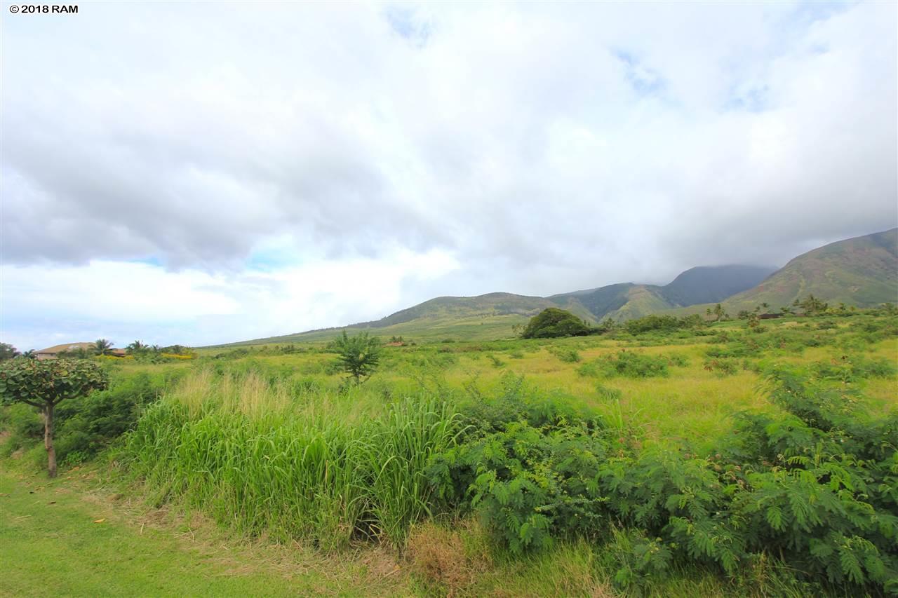 29  Wili Okai Way Puunoa, Lahaina home - photo 15 of 19