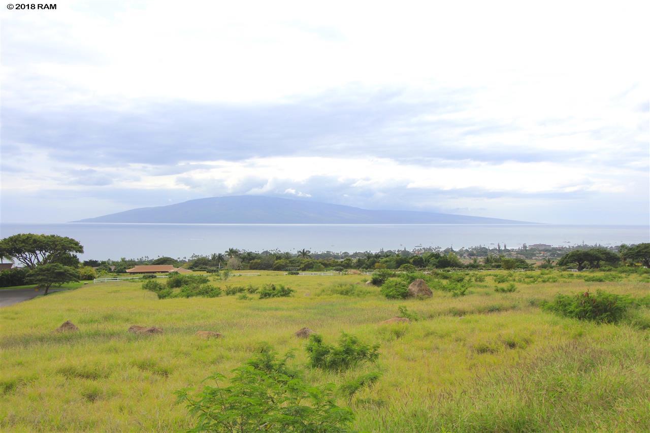 29  Wili Okai Way Puunoa, Lahaina home - photo 7 of 19