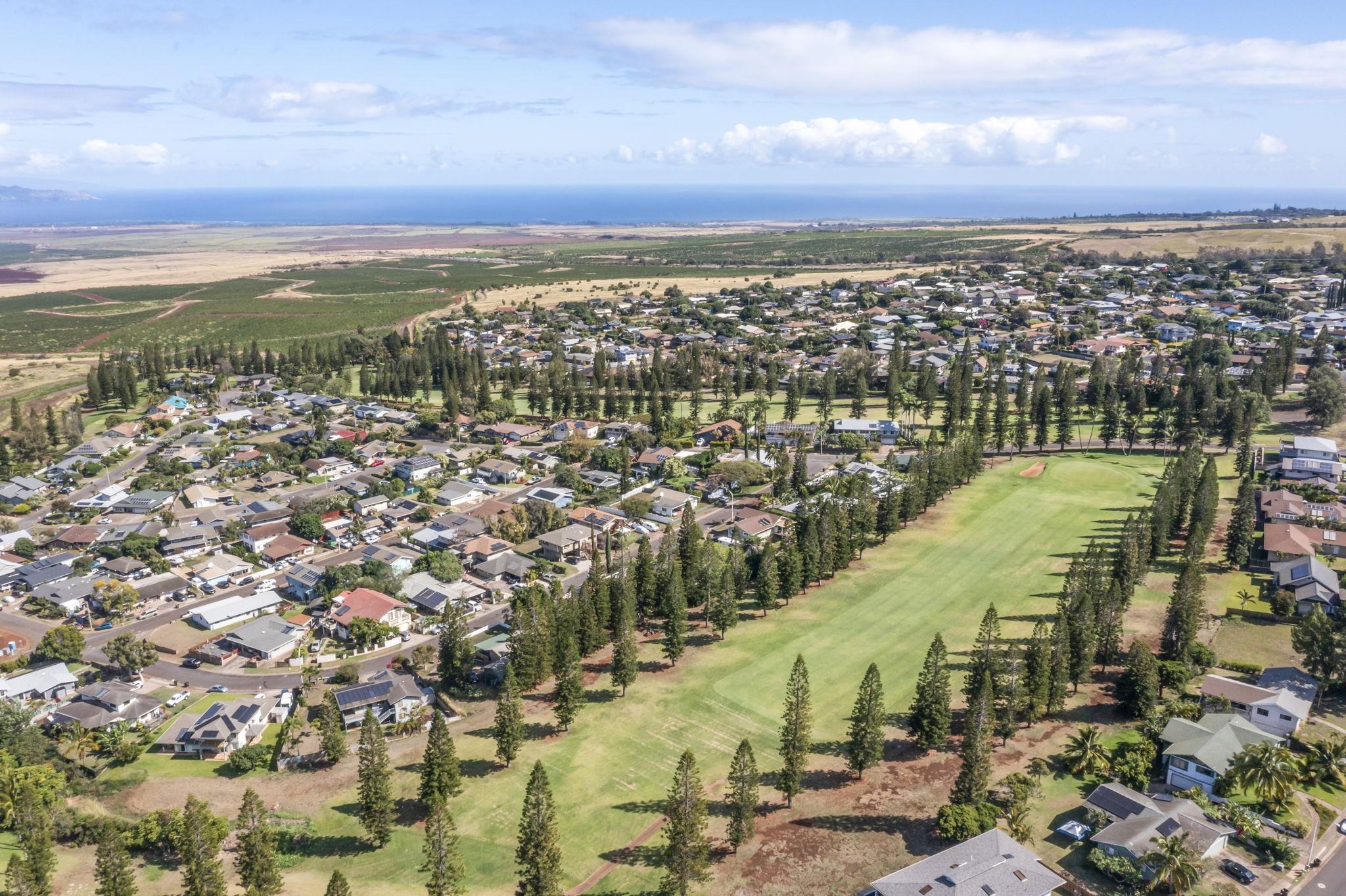 290  Hokulani St , Pukalani home - photo 46 of 48