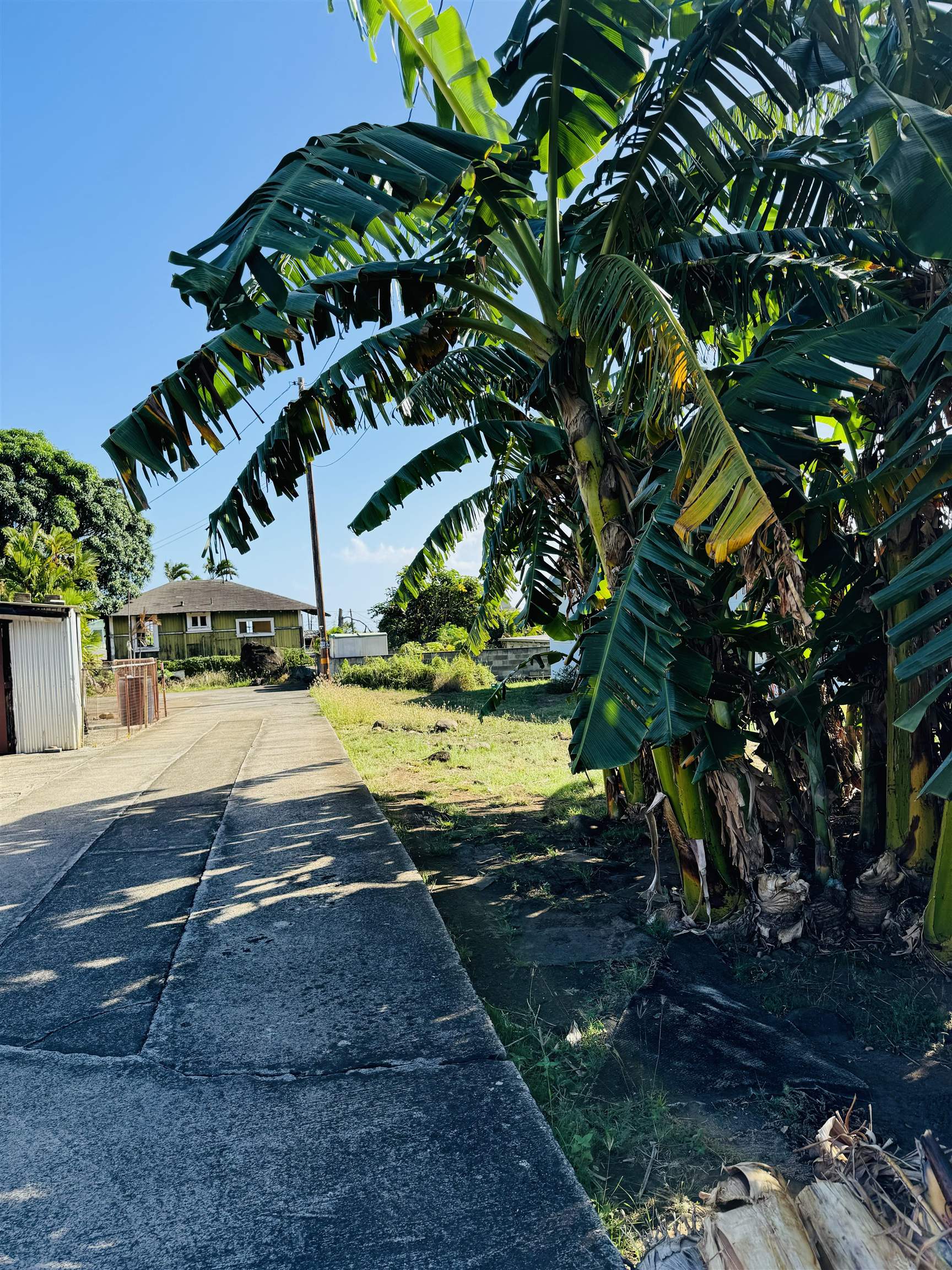 290  Makua St , Wailuku home - photo 24 of 34