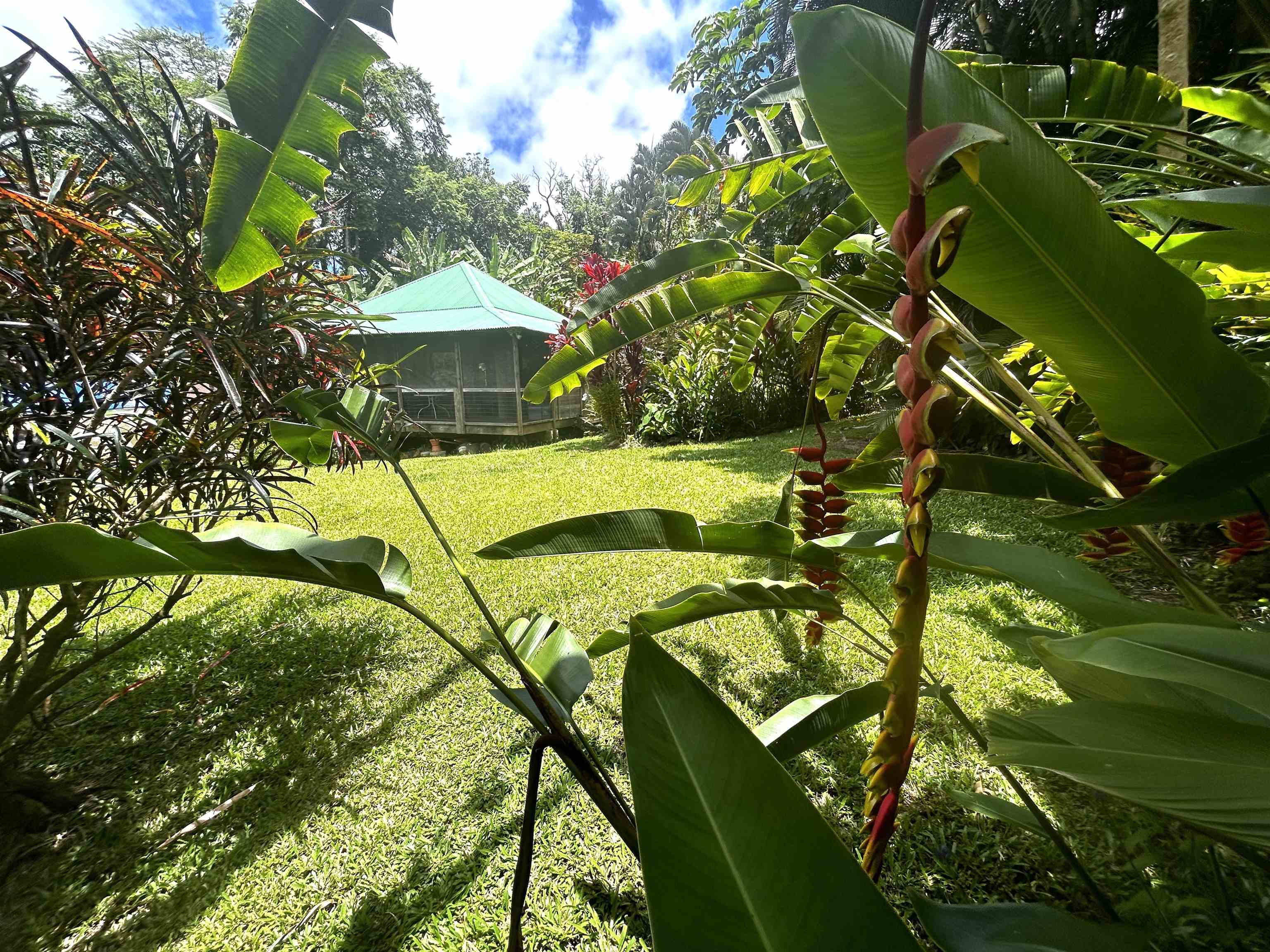 2901  Hana Hwy Kaeleku, Hana home - photo 3 of 30