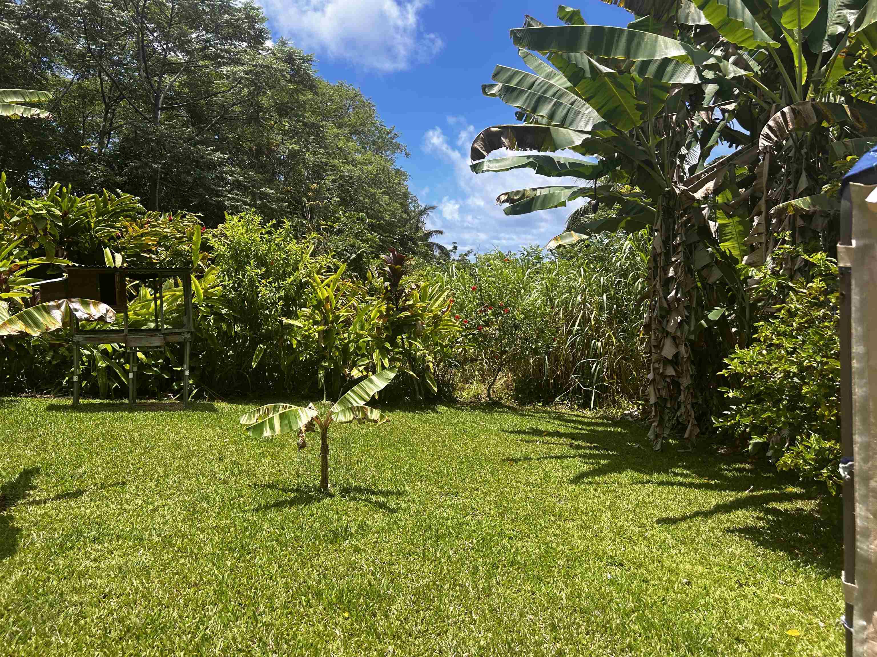 2901  Hana Hwy Kaeleku, Hana home - photo 23 of 30