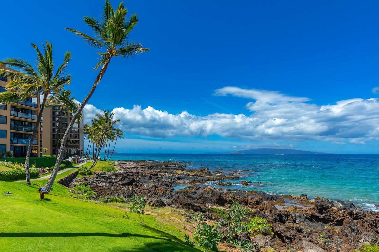 Kihei Surfside condo # 209, Kihei, Hawaii - photo 28 of 41