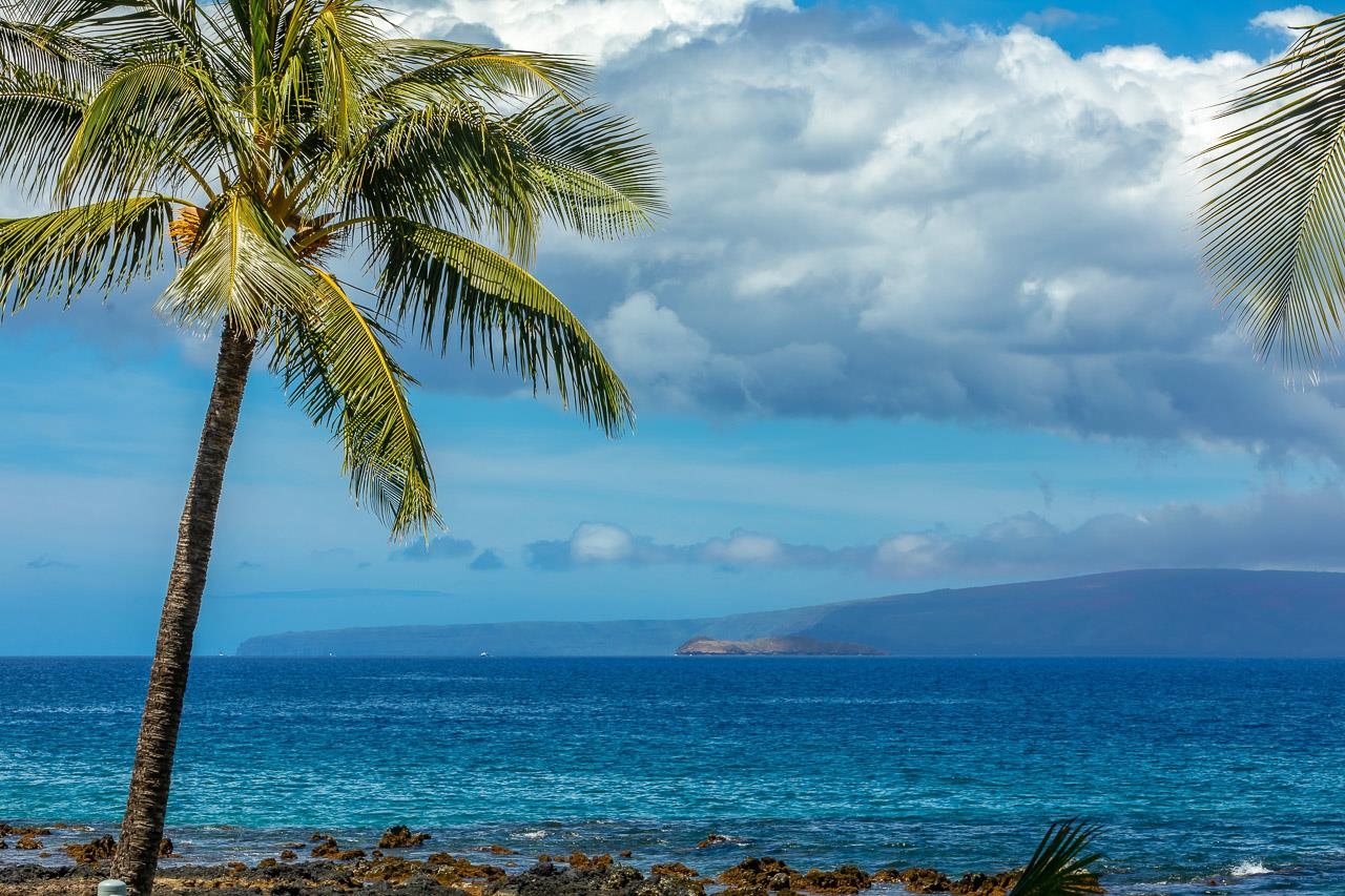 Kihei Surfside condo # 209, Kihei, Hawaii - photo 31 of 41