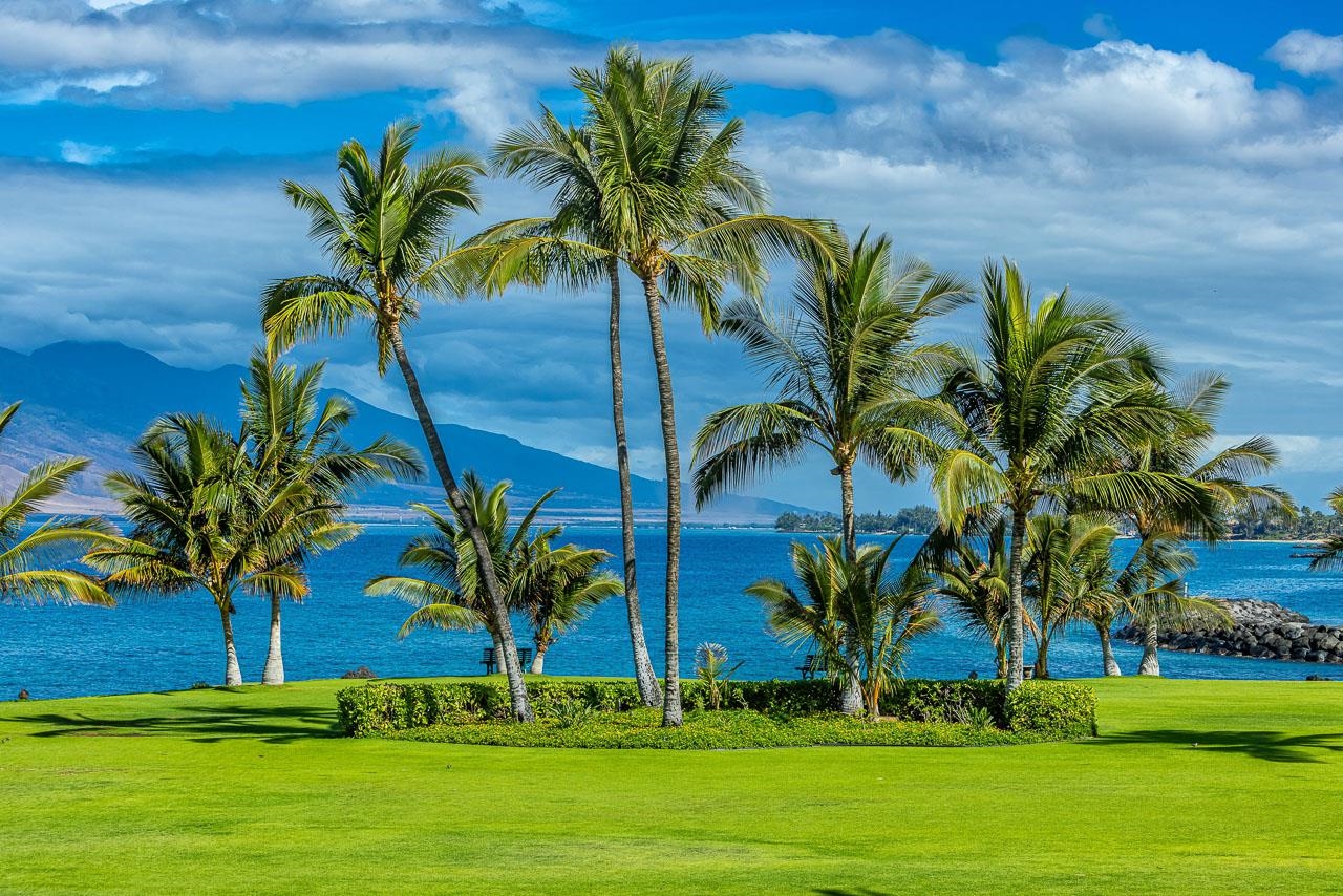 Kihei Surfside condo # 209, Kihei, Hawaii - photo 32 of 41