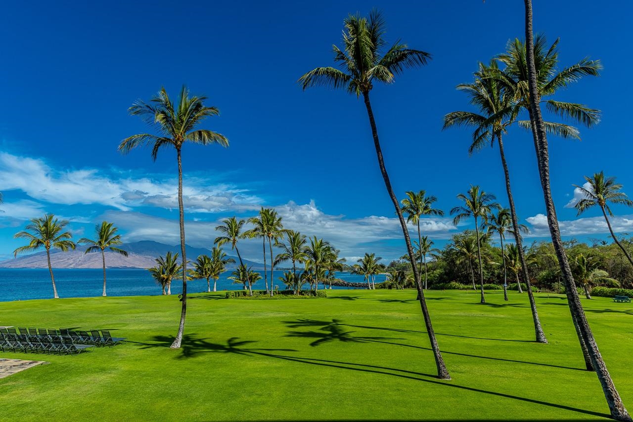 Kihei Surfside condo # 209, Kihei, Hawaii - photo 33 of 41