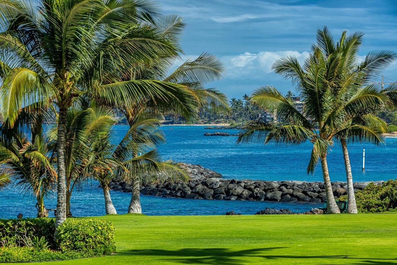 Kihei Surfside condo # 209, Kihei, Hawaii - photo 34 of 41