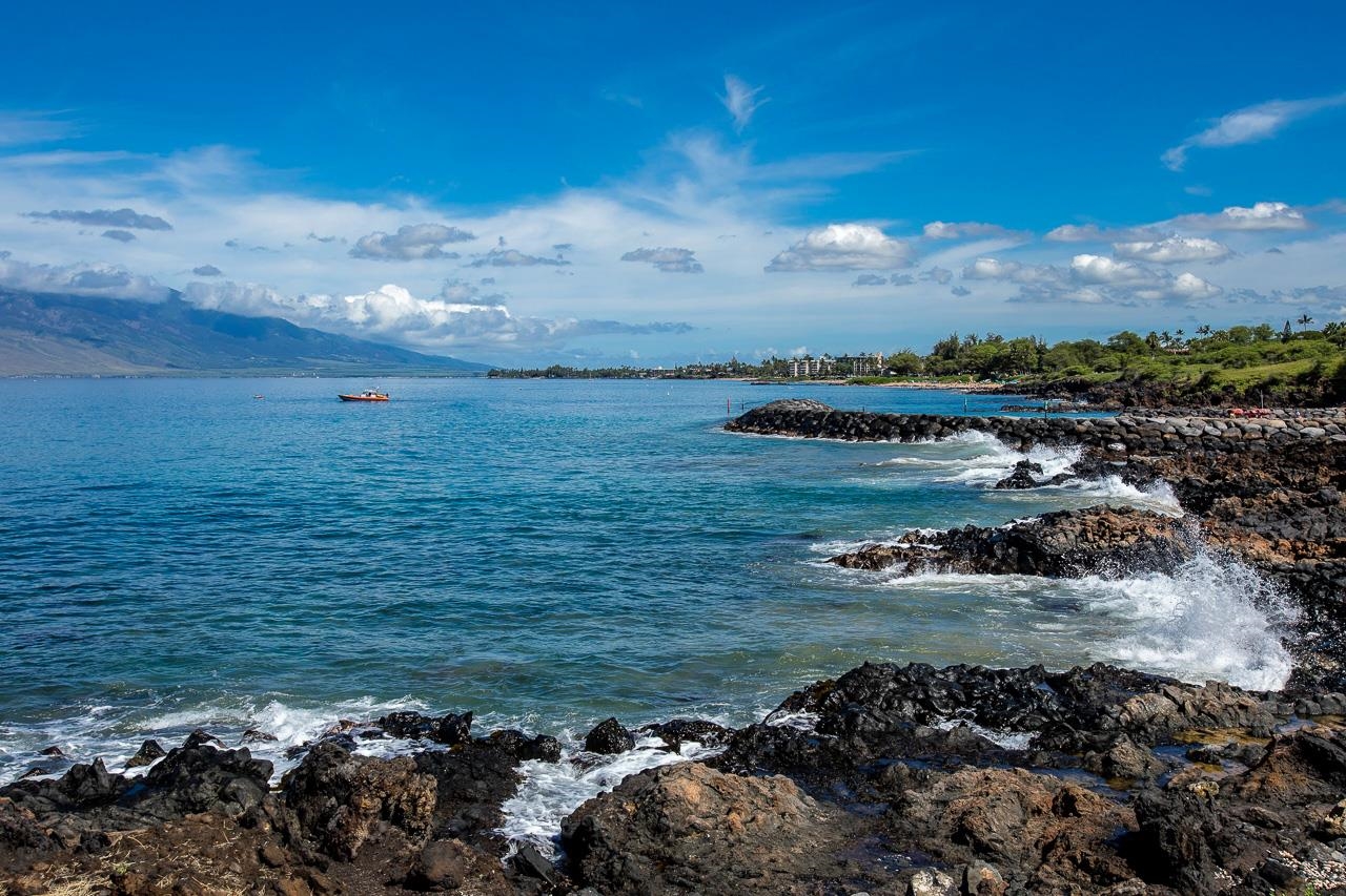 Kihei Surfside condo # 209, Kihei, Hawaii - photo 41 of 41