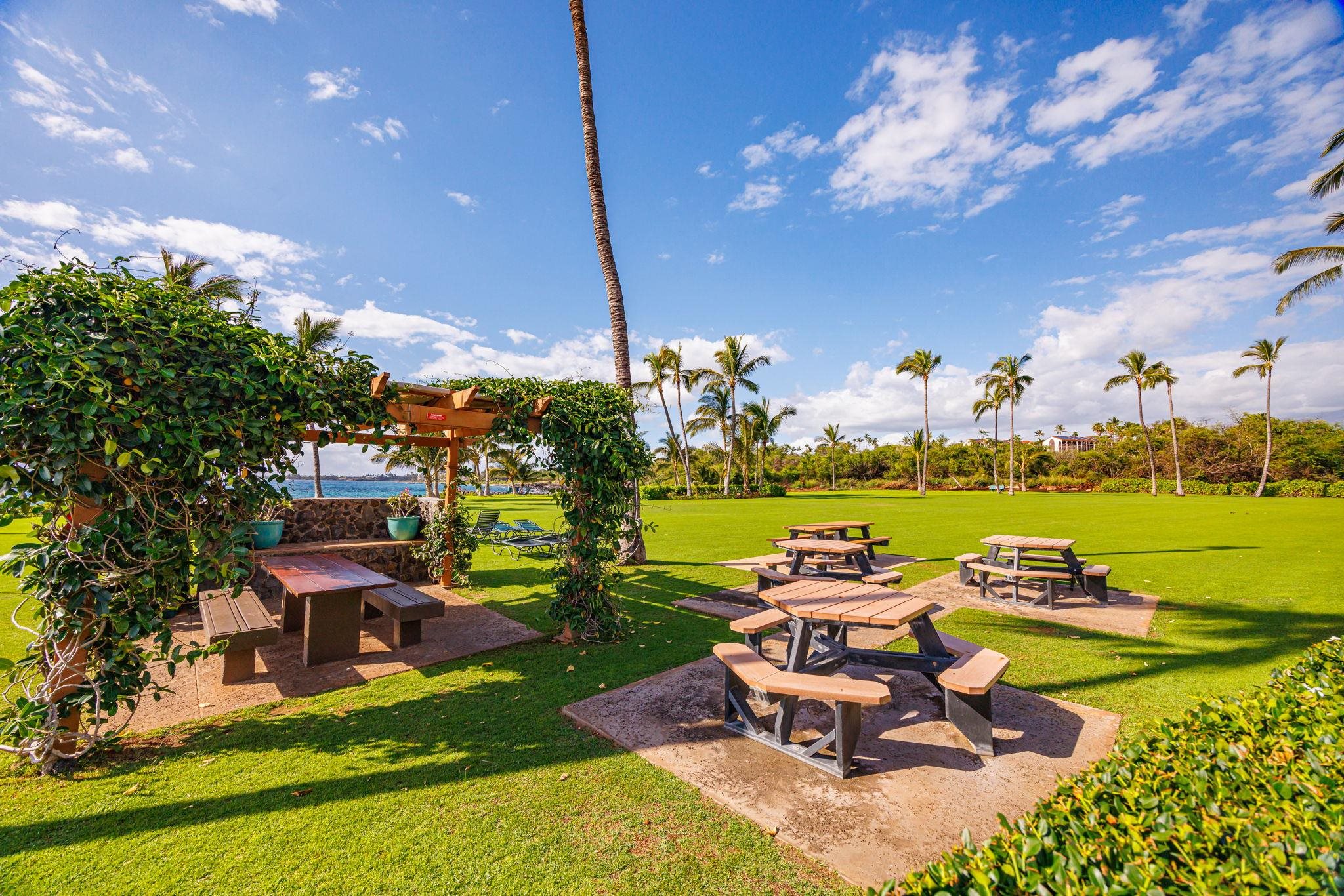 Kihei Surfside condo # 209, Kihei, Hawaii - photo 25 of 32