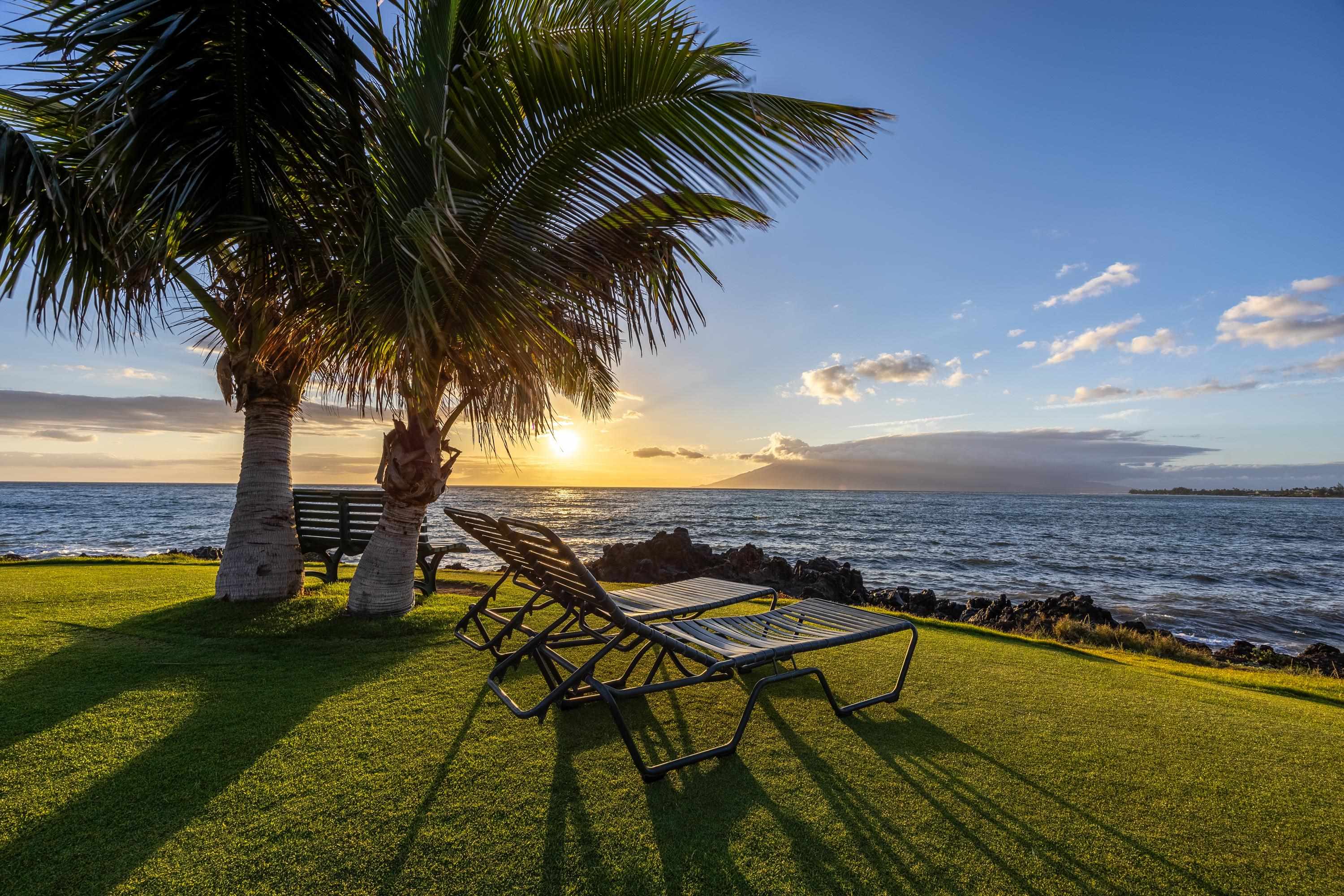 Kihei Surfside condo # 211, Kihei, Hawaii - photo 34 of 50