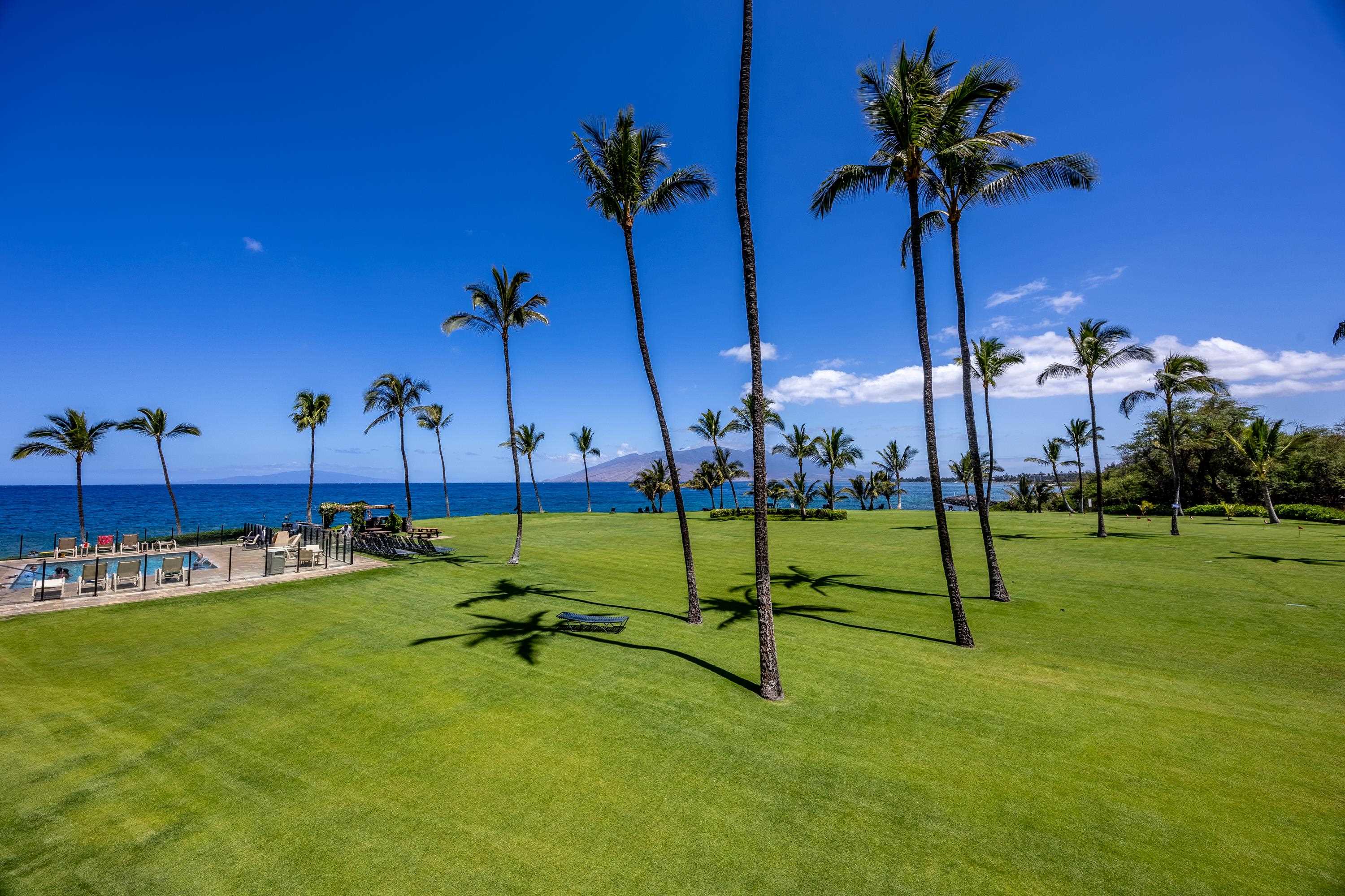 Kihei Surfside condo # 211, Kihei, Hawaii - photo 38 of 50