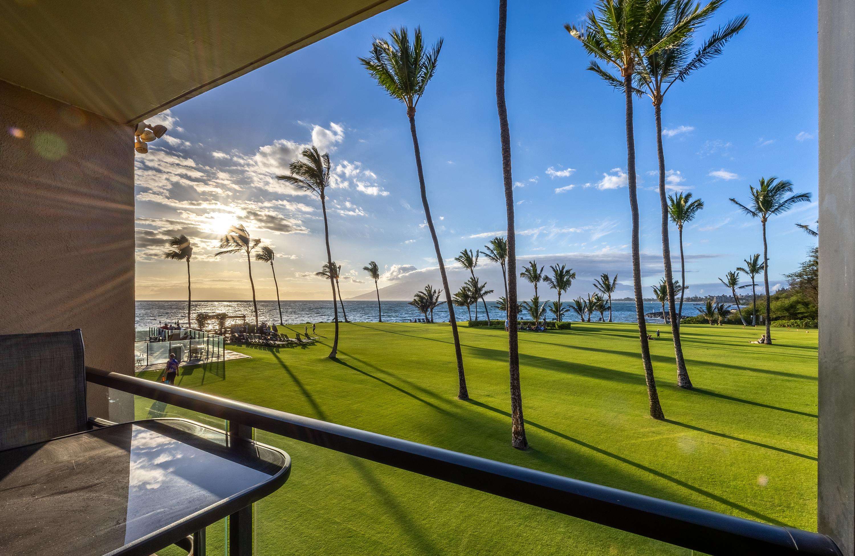 Kihei Surfside condo # 211, Kihei, Hawaii - photo 42 of 50