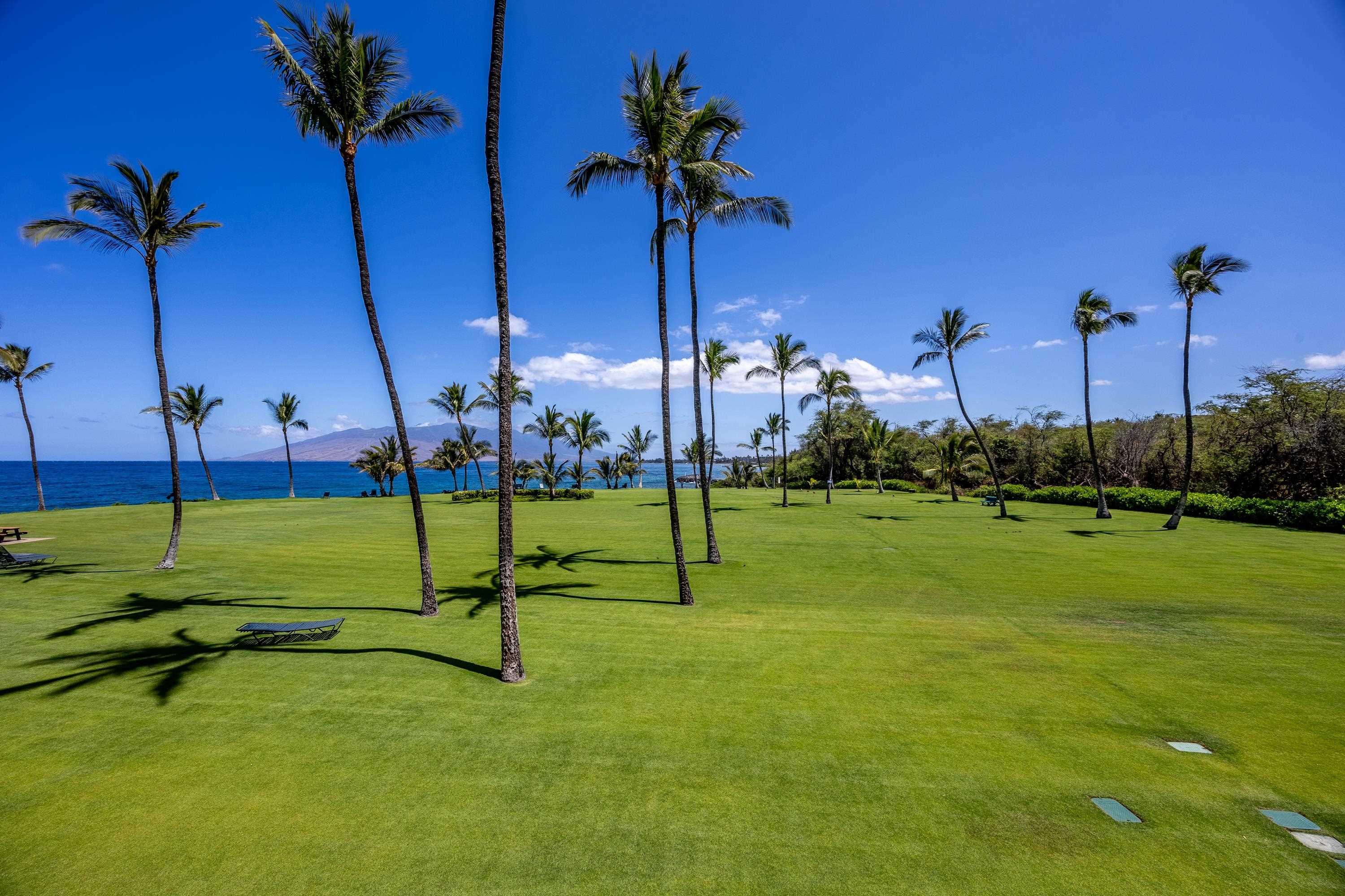 Kihei Surfside condo # 211, Kihei, Hawaii - photo 39 of 50