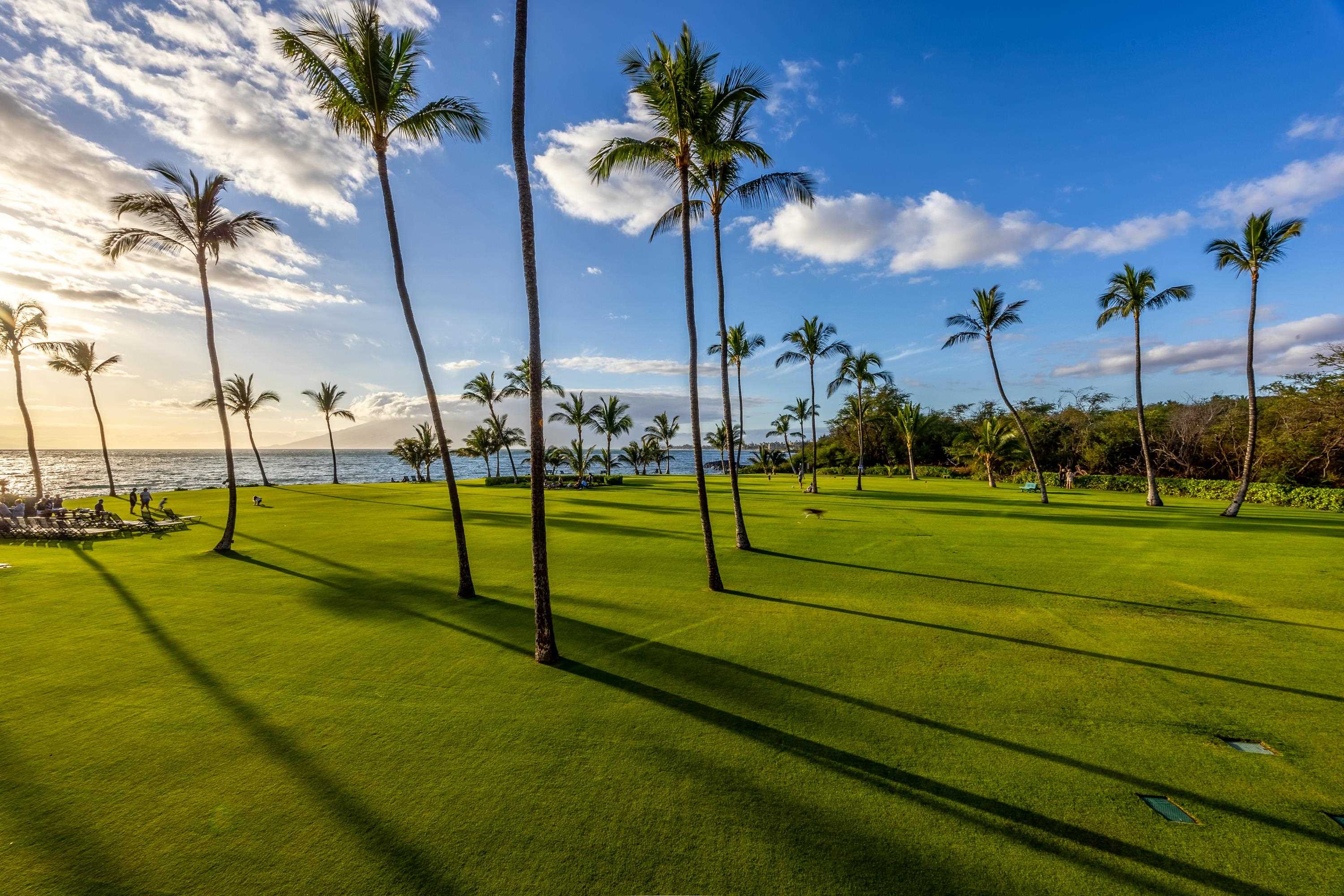 Kihei Surfside condo # 211, Kihei, Hawaii - photo 41 of 50