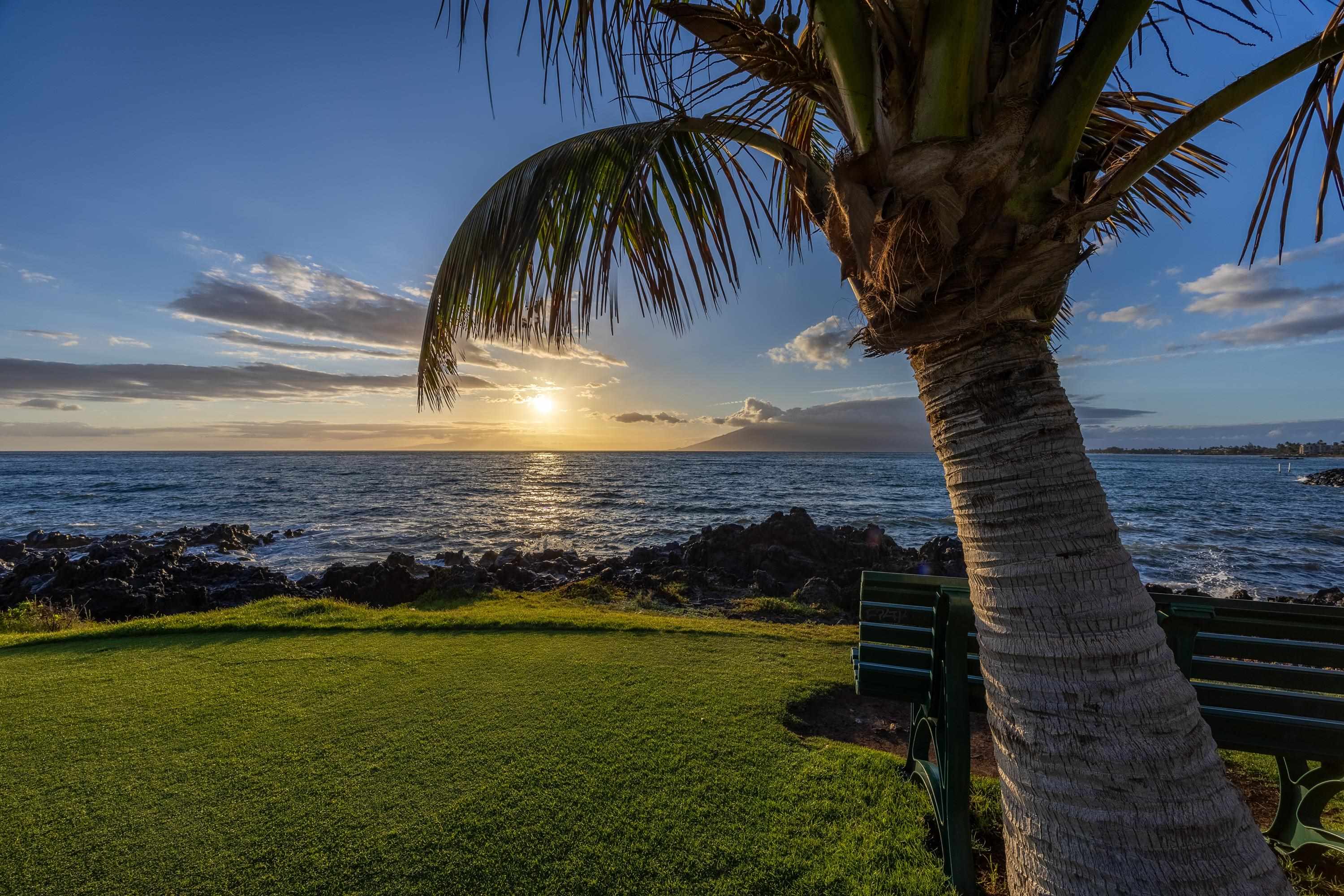 Kihei Surfside condo # 211, Kihei, Hawaii - photo 45 of 50