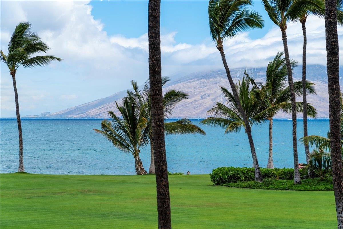 Kihei Surfside condo # 213, Kihei, Hawaii - photo 4 of 47