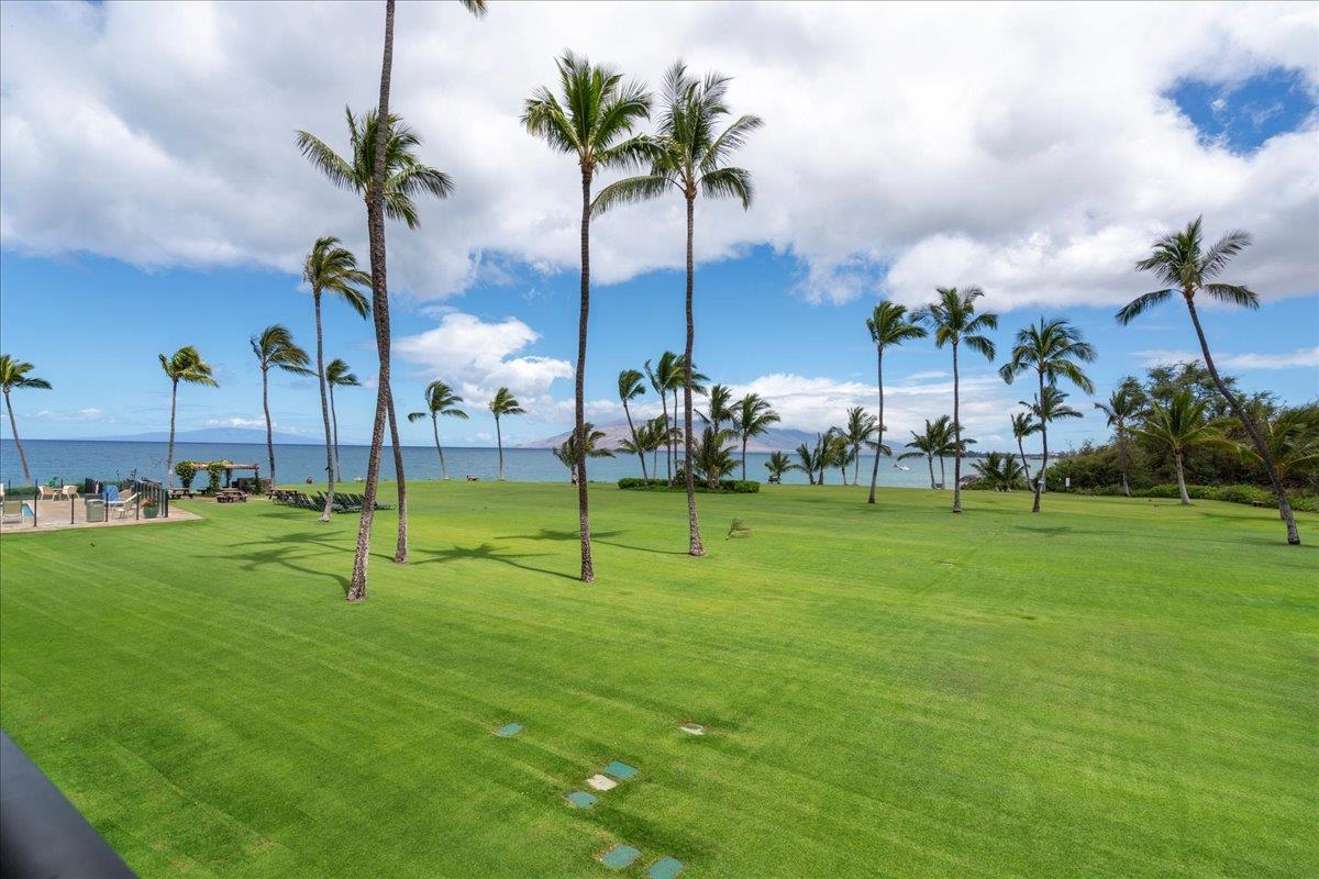 Kihei Surfside condo # 213, Kihei, Hawaii - photo 45 of 47