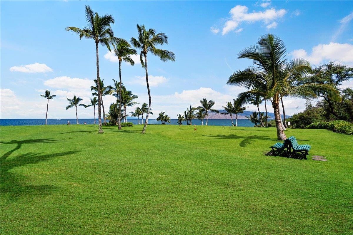 Kihei Surfside condo # 213, Kihei, Hawaii - photo 46 of 47