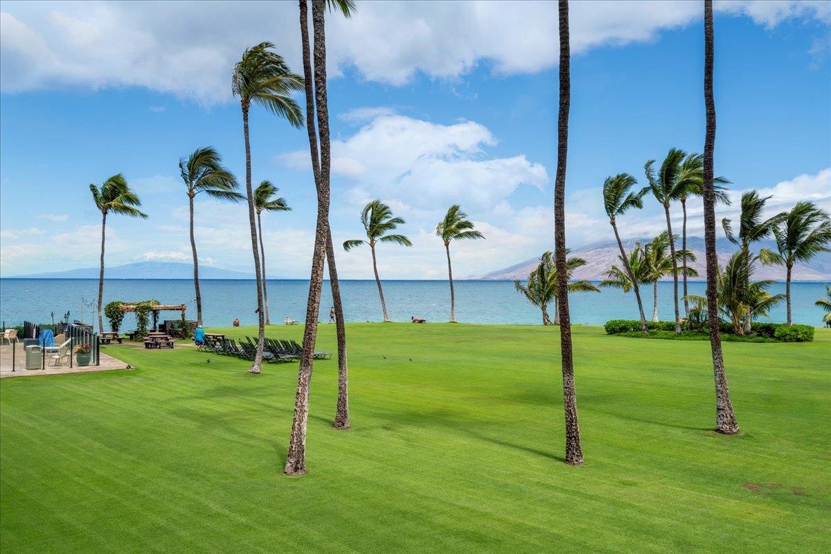 Kihei Surfside condo # 213, Kihei, Hawaii - photo 47 of 47