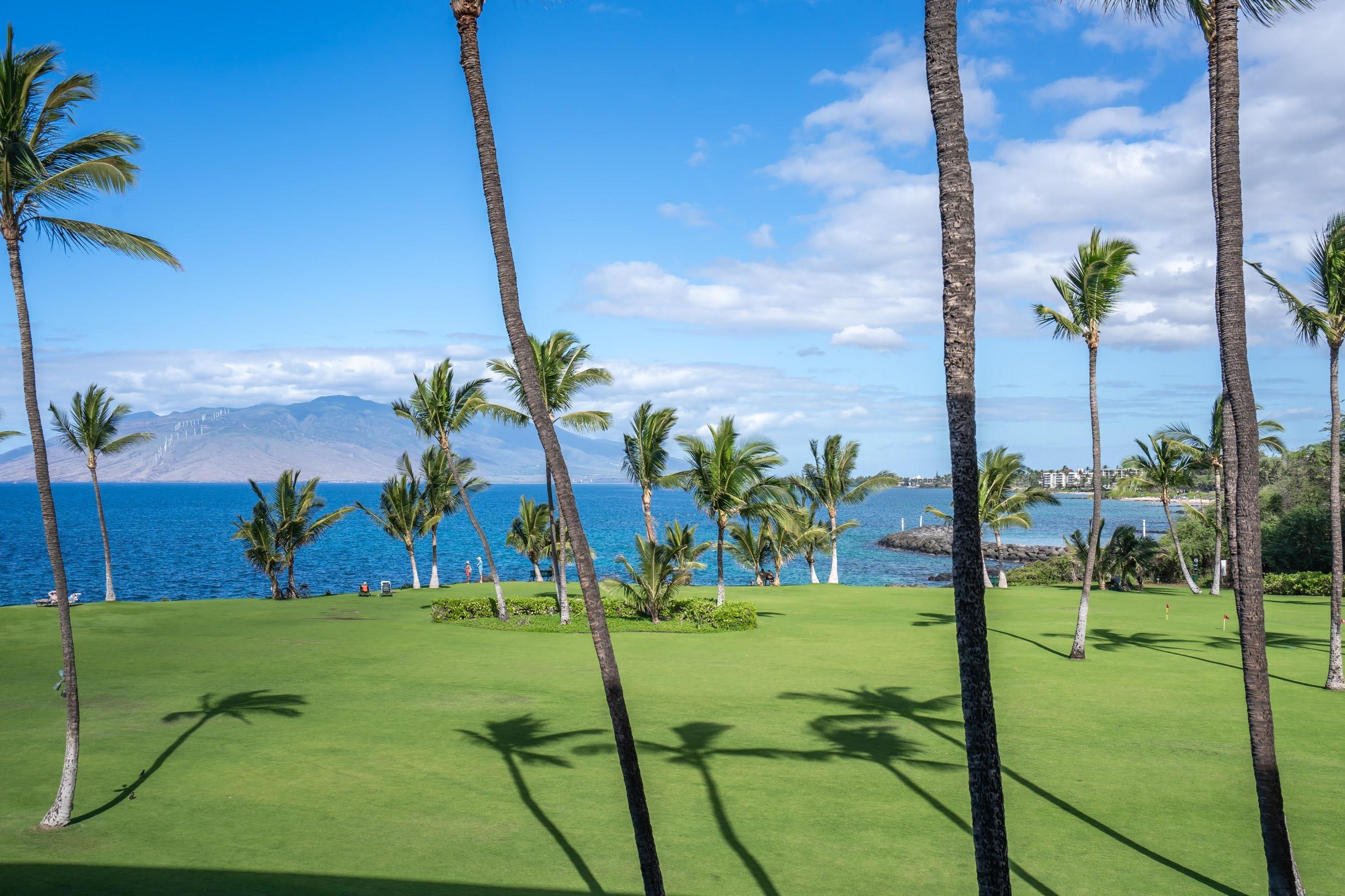 Kihei Surfside condo # 310, Kihei, Hawaii - photo 21 of 45