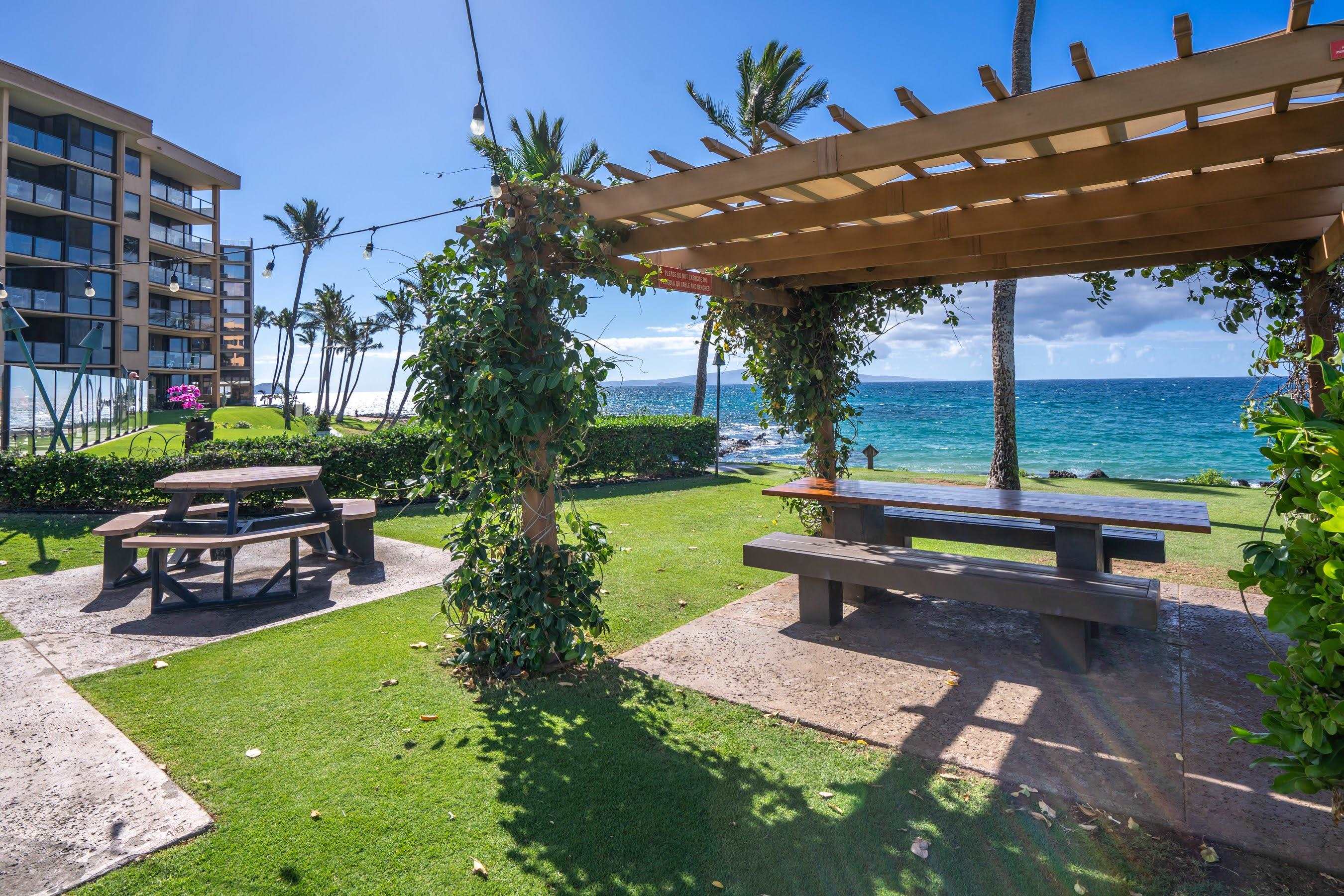 Kihei Surfside condo # 310, Kihei, Hawaii - photo 43 of 45