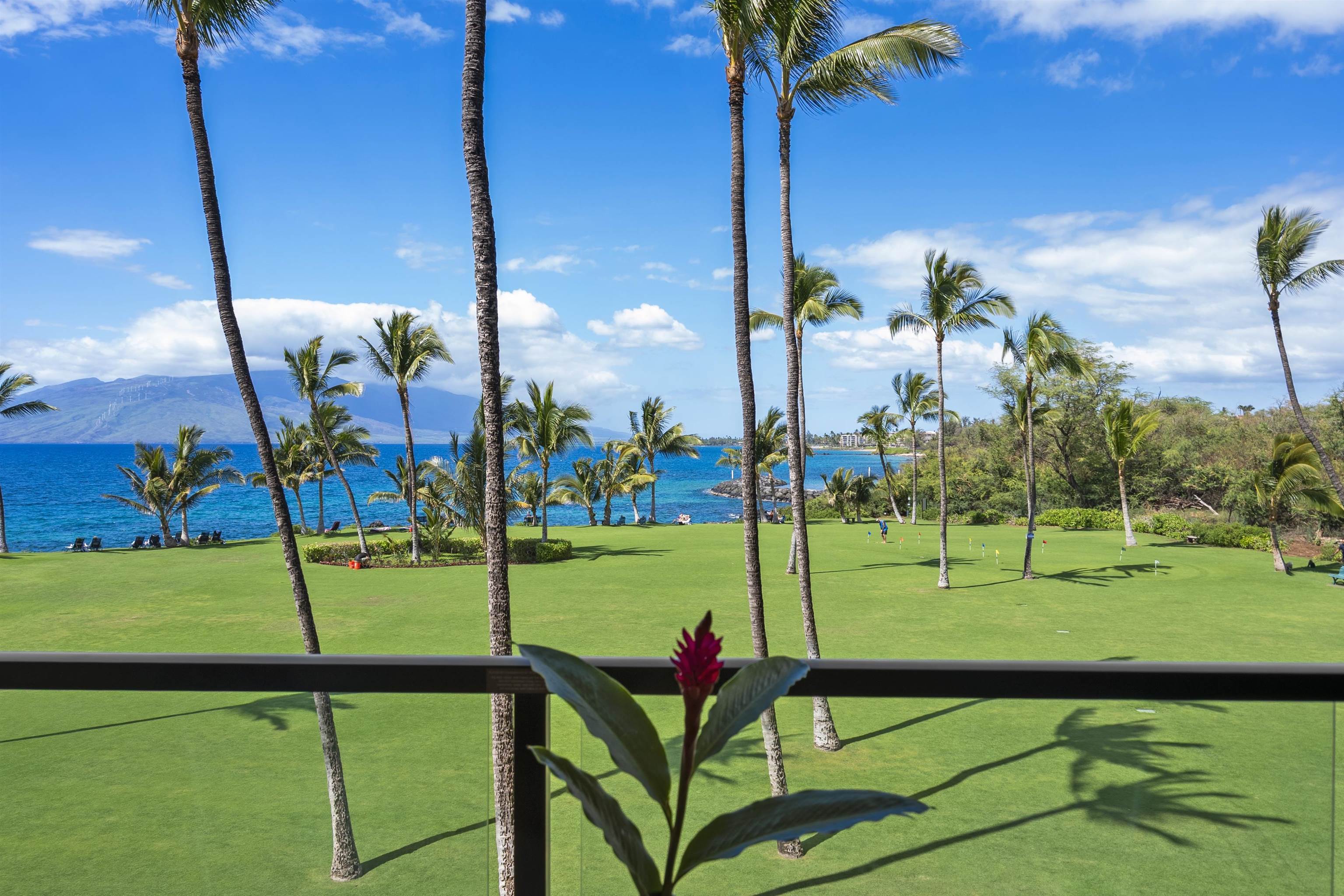 Kihei Surfside condo # 311, Kihei, Hawaii - photo 16 of 19