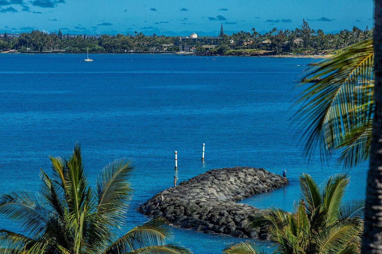 Kihei Surfside condo # 613, Kihei, Hawaii - photo 35 of 47