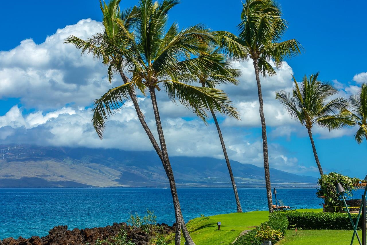 Kihei Surfside condo # 613, Kihei, Hawaii - photo 45 of 47