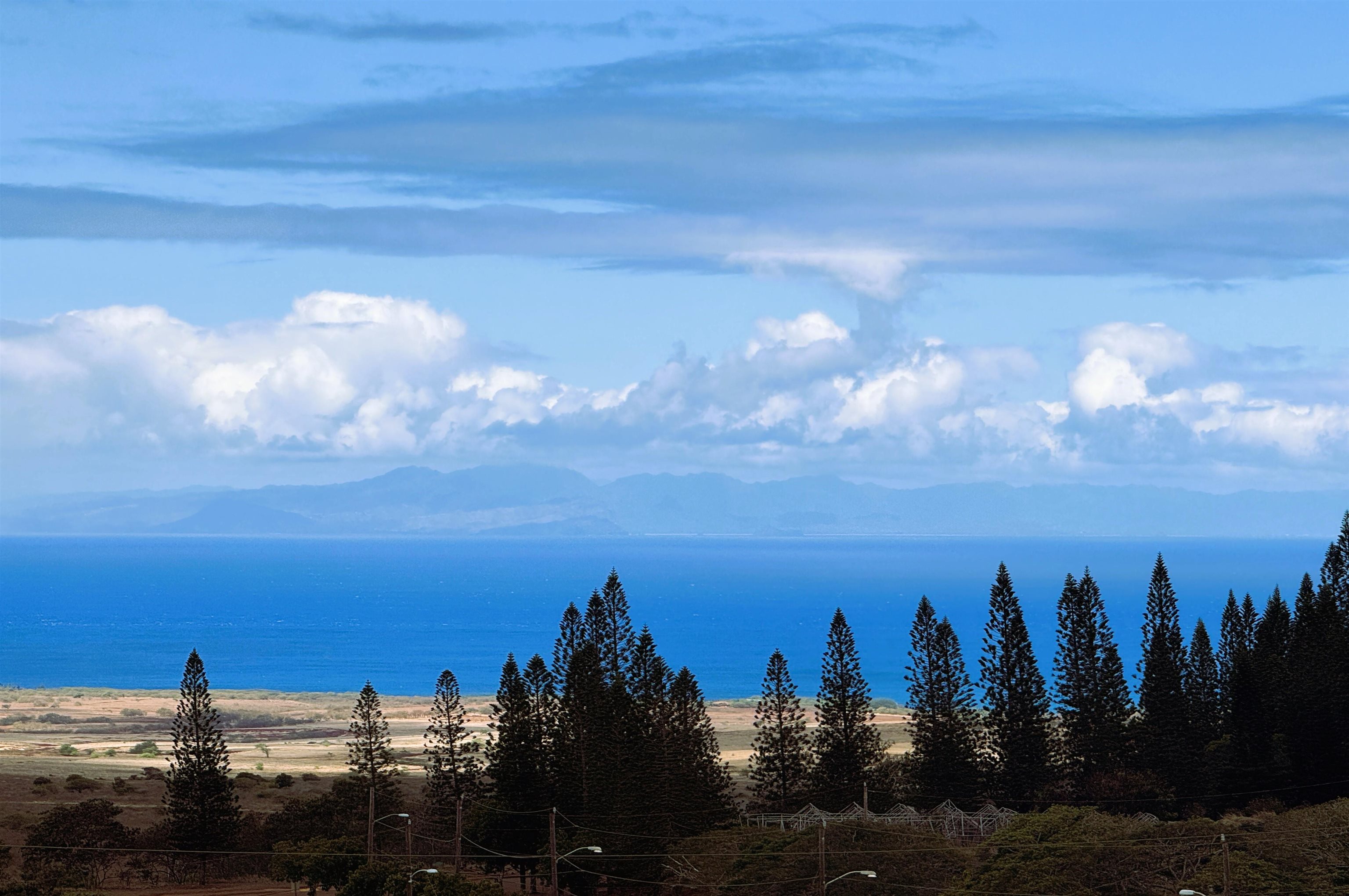 294  Maunaloa Rd , Molokai home - photo 7 of 20