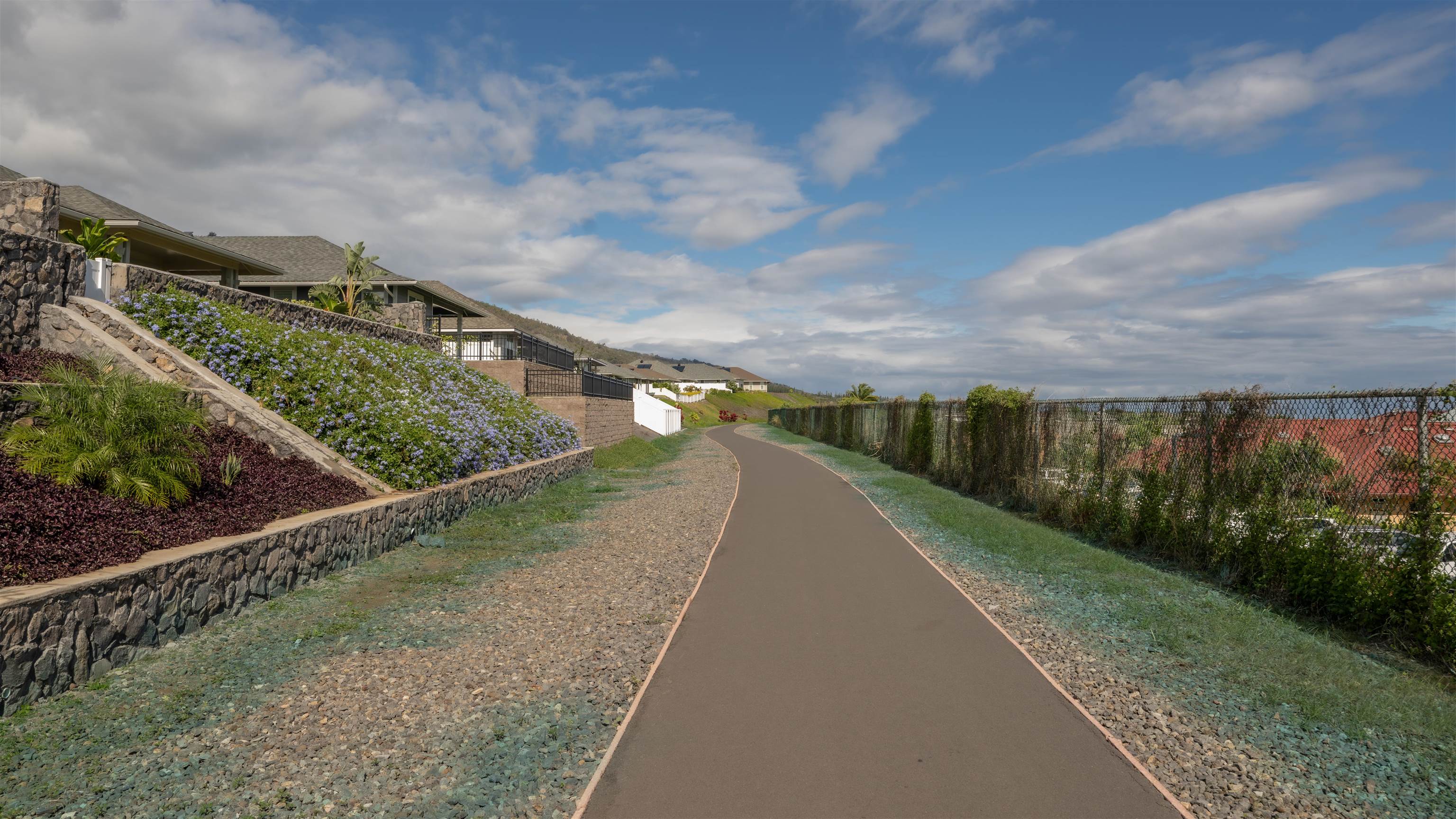 295  Pua Kalaunu Loop Kehalani, Wailuku home - photo 32 of 33