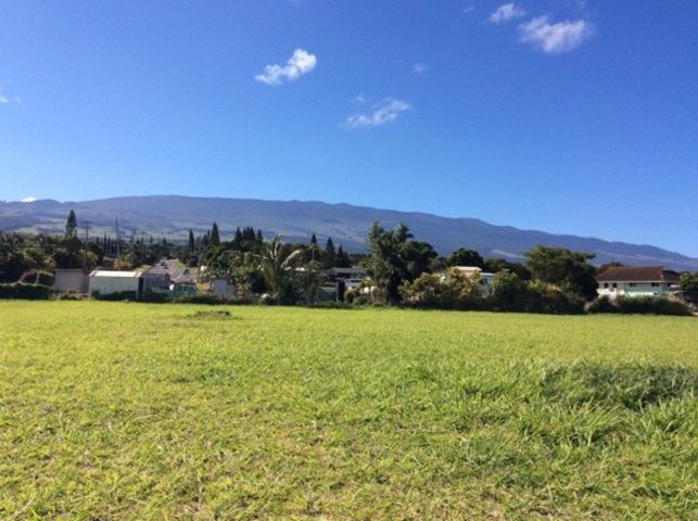 2956 Old Haleakala Hwy  Pukalani, Hi vacant land for sale - photo 6 of 12