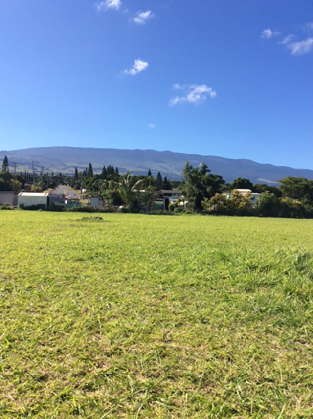 2956 Old Haleakala Hwy  Pukalani, Hi vacant land for sale - photo 9 of 12