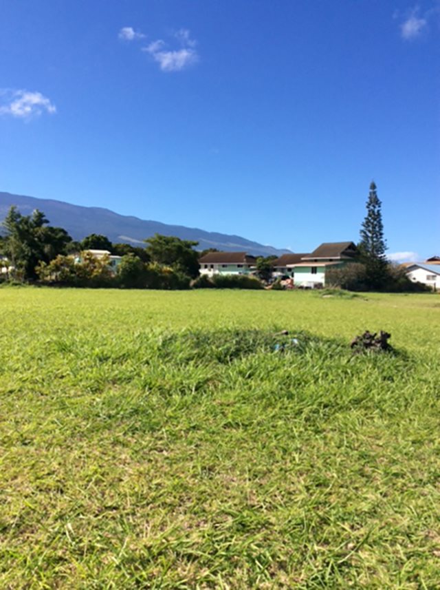 2956 Old Haleakala Hwy  Pukalani, Hi vacant land for sale - photo 10 of 12