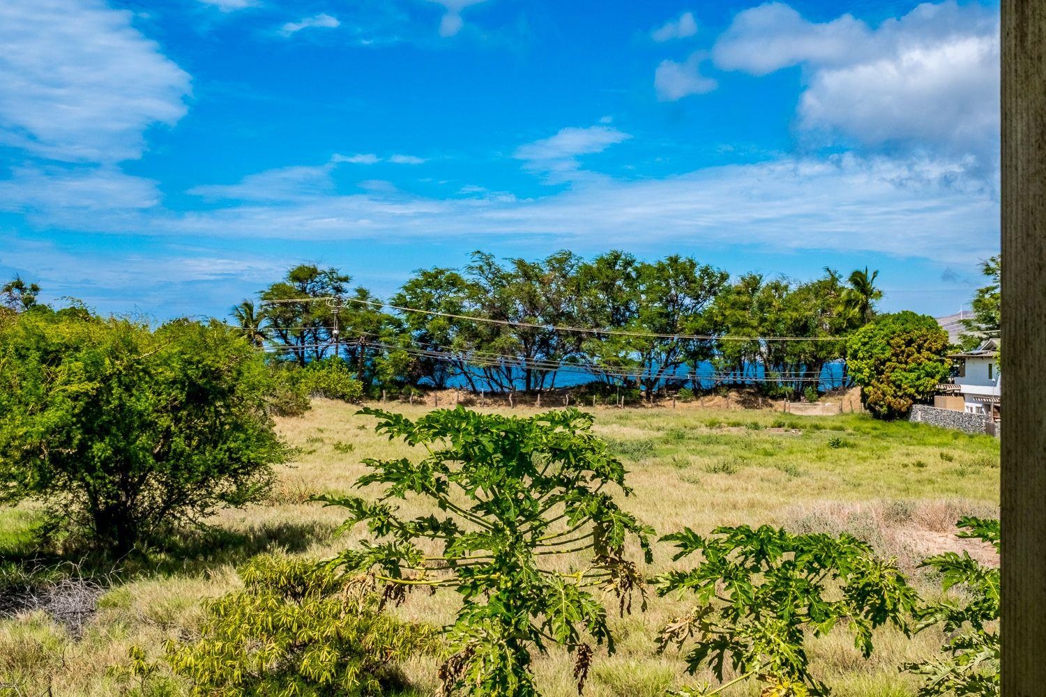 296  Kenolio Rd , Kihei home - photo 21 of 50